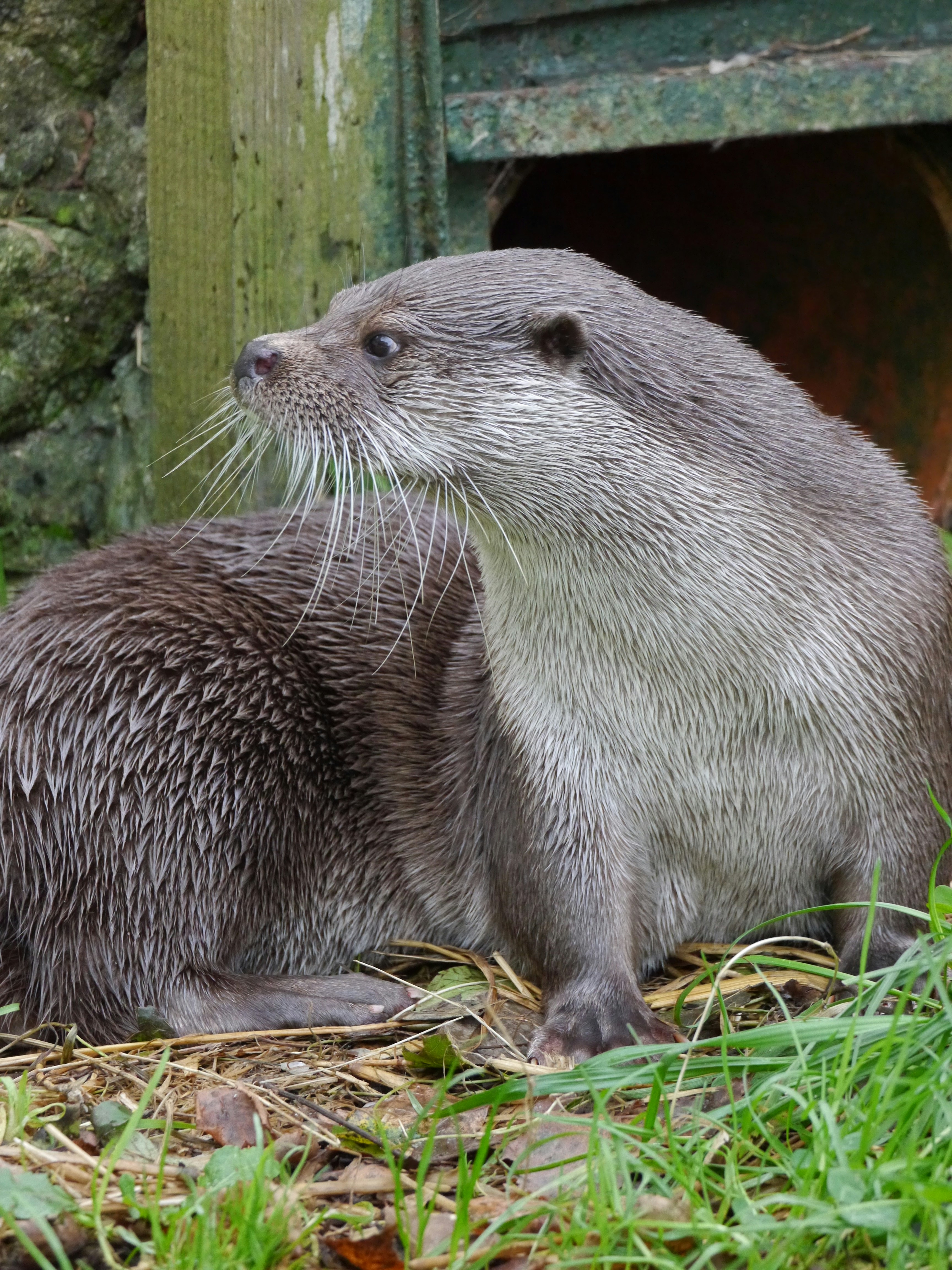 Photo by iqsphotography