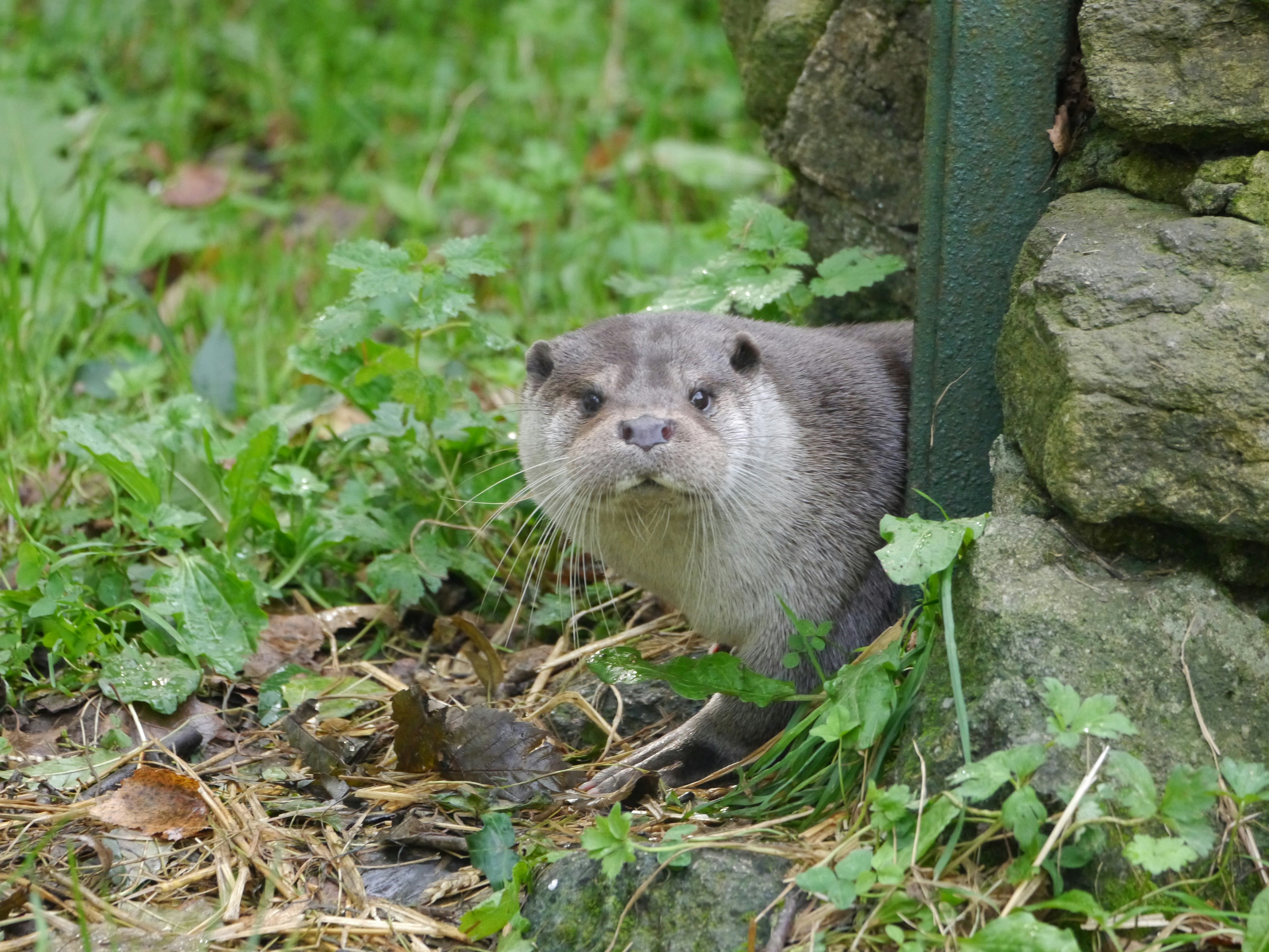 Photo by iqsphotography