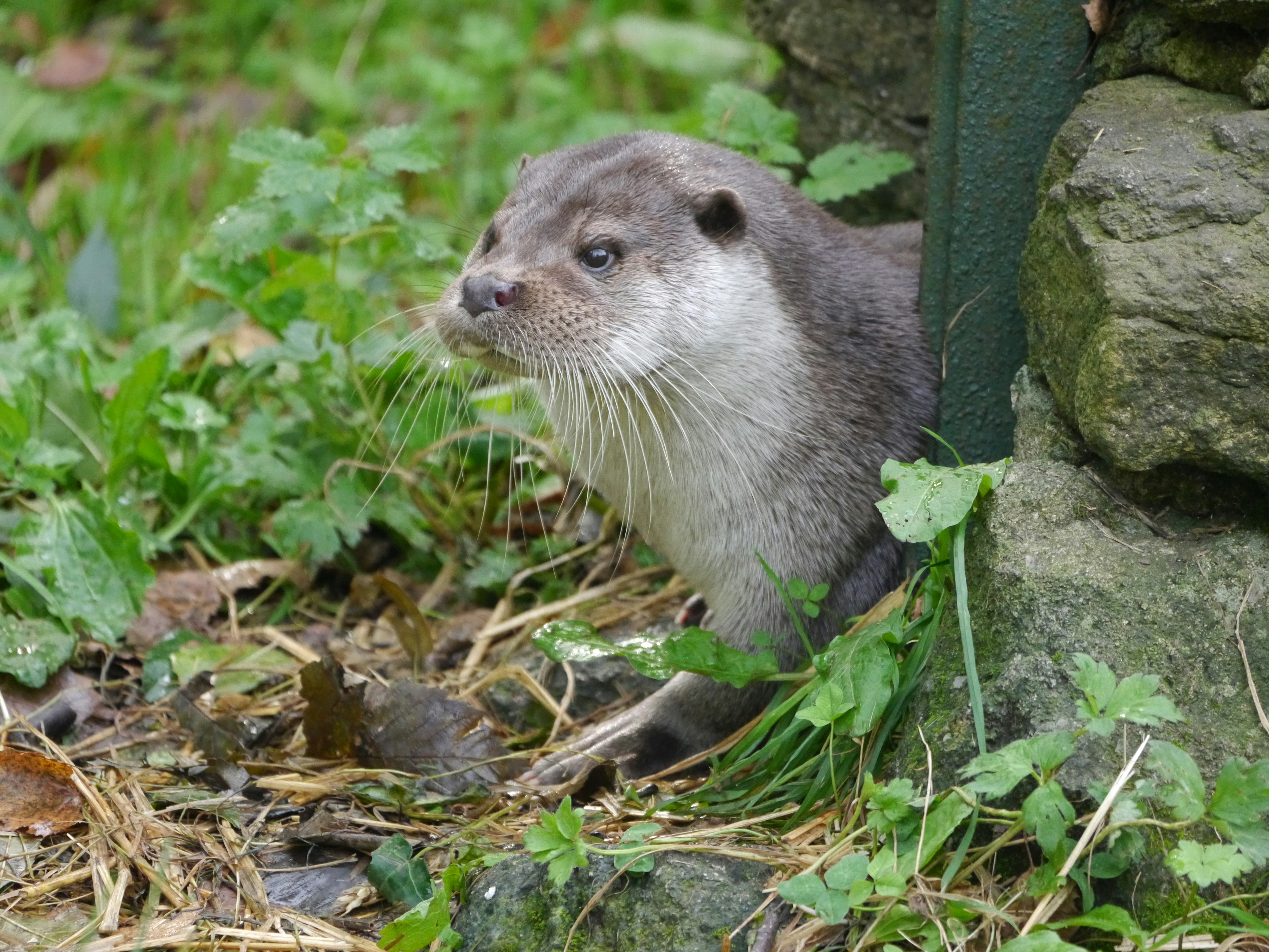 Photo by iqsphotography