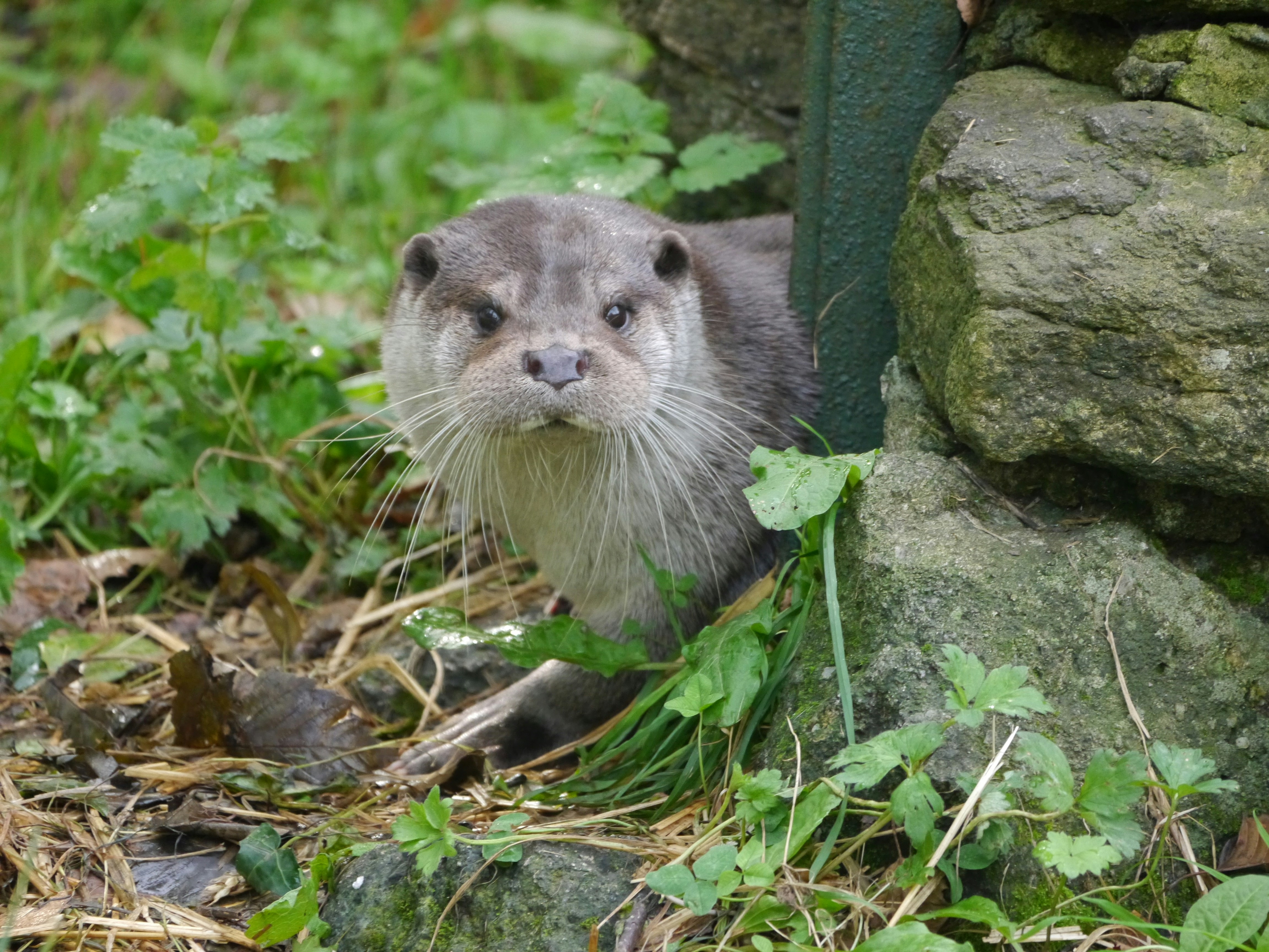 Photo by iqsphotography