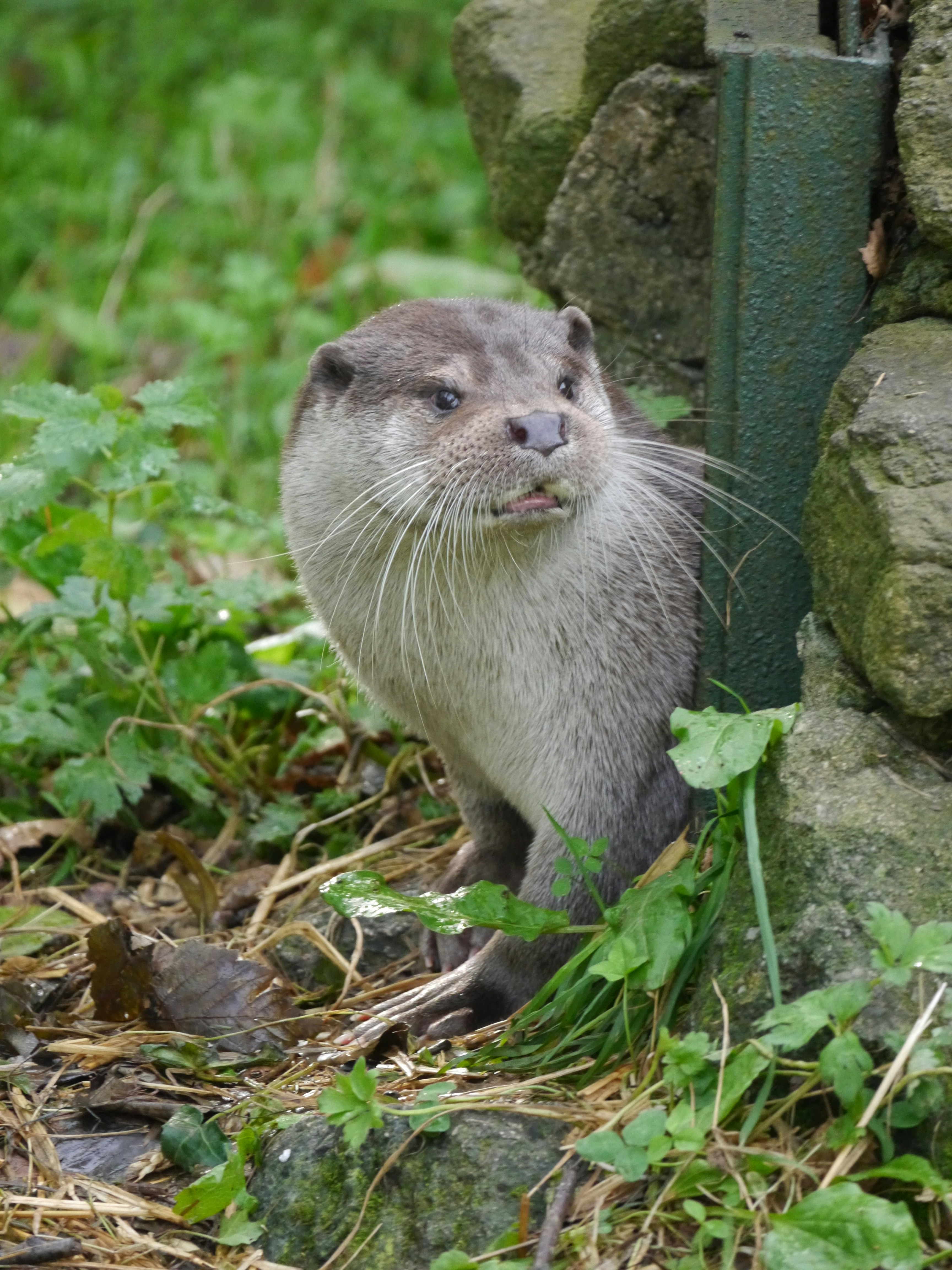 Photo by iqsphotography