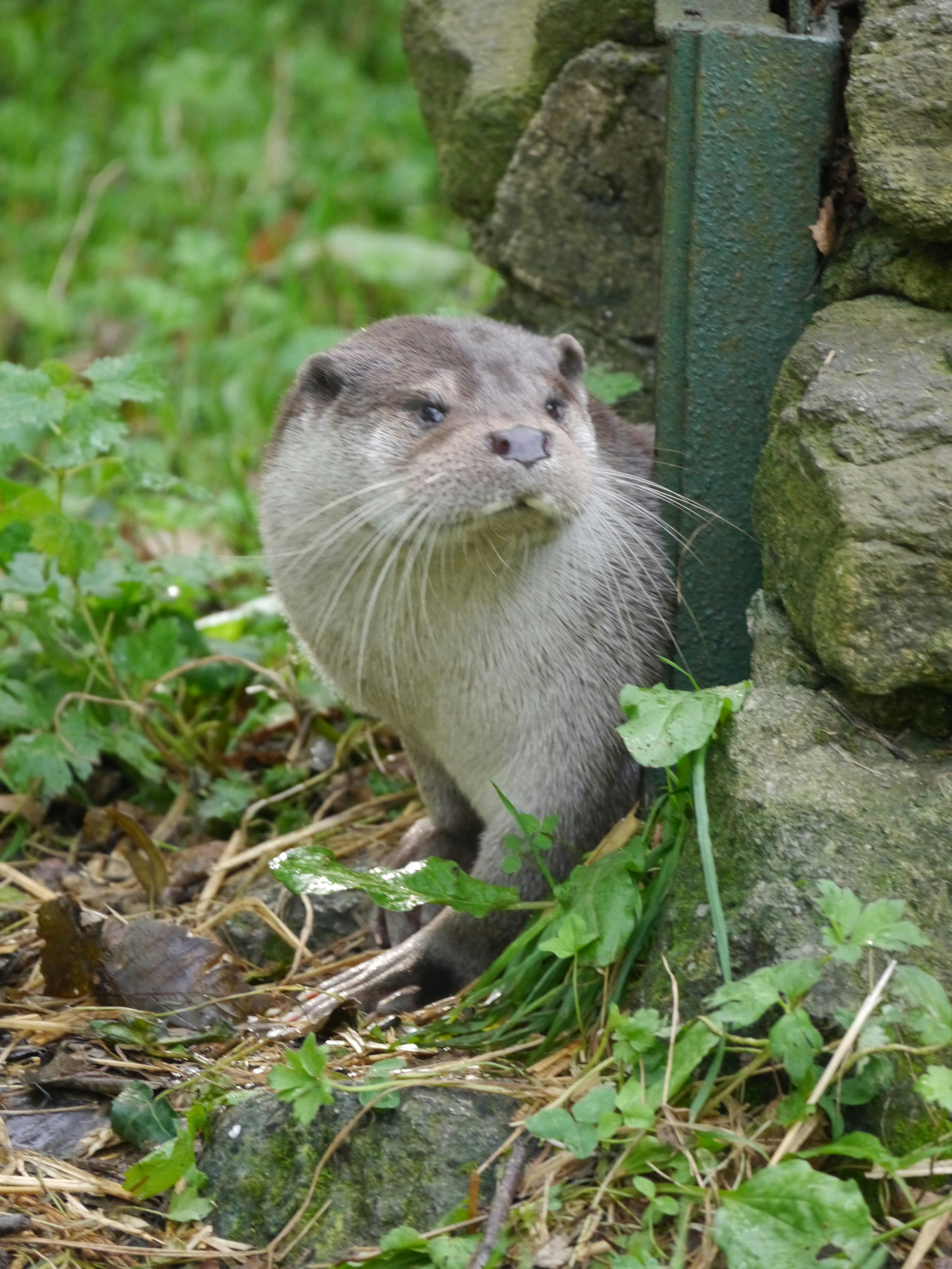 Photo by iqsphotography