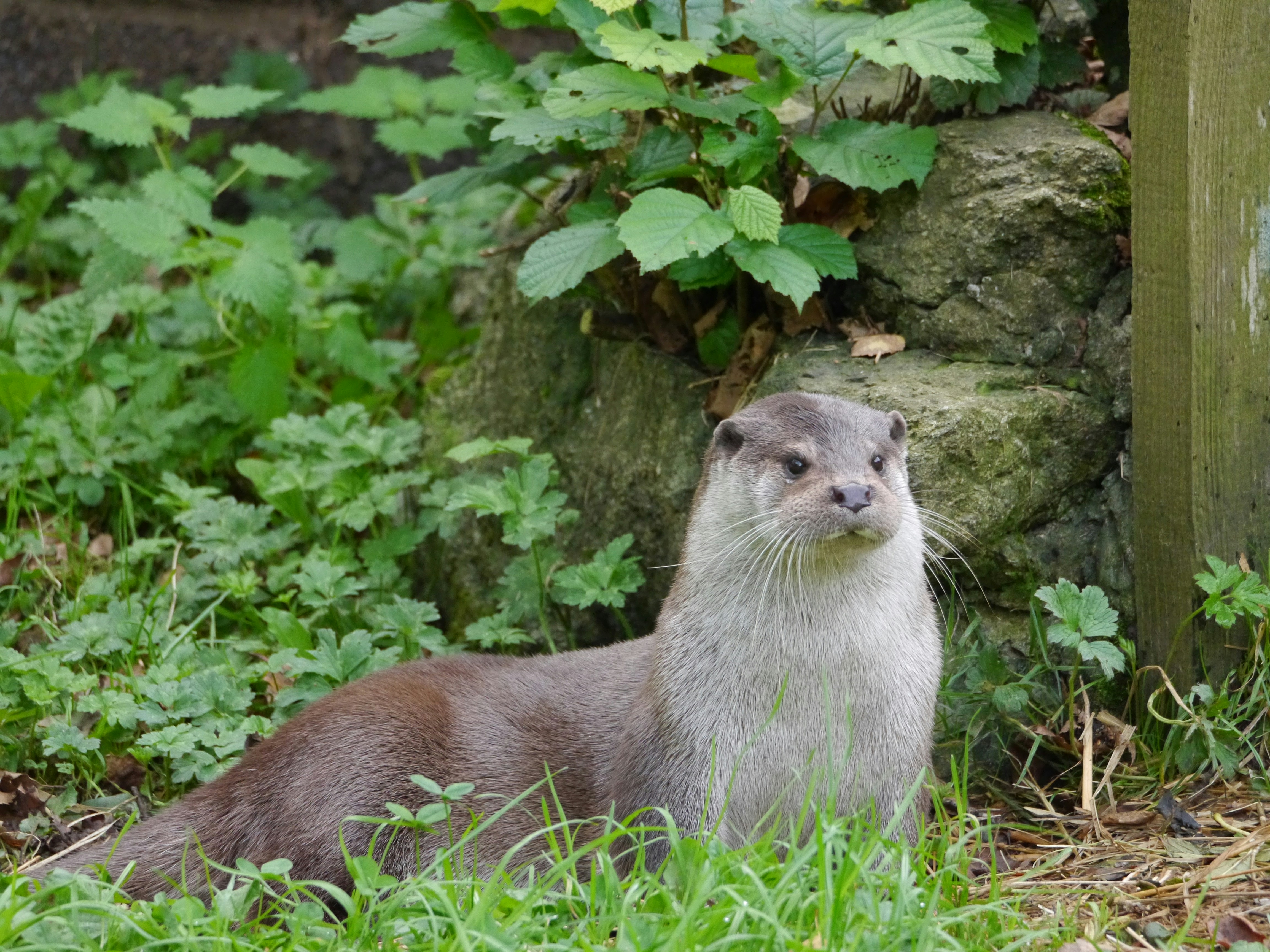 Photo by iqsphotography