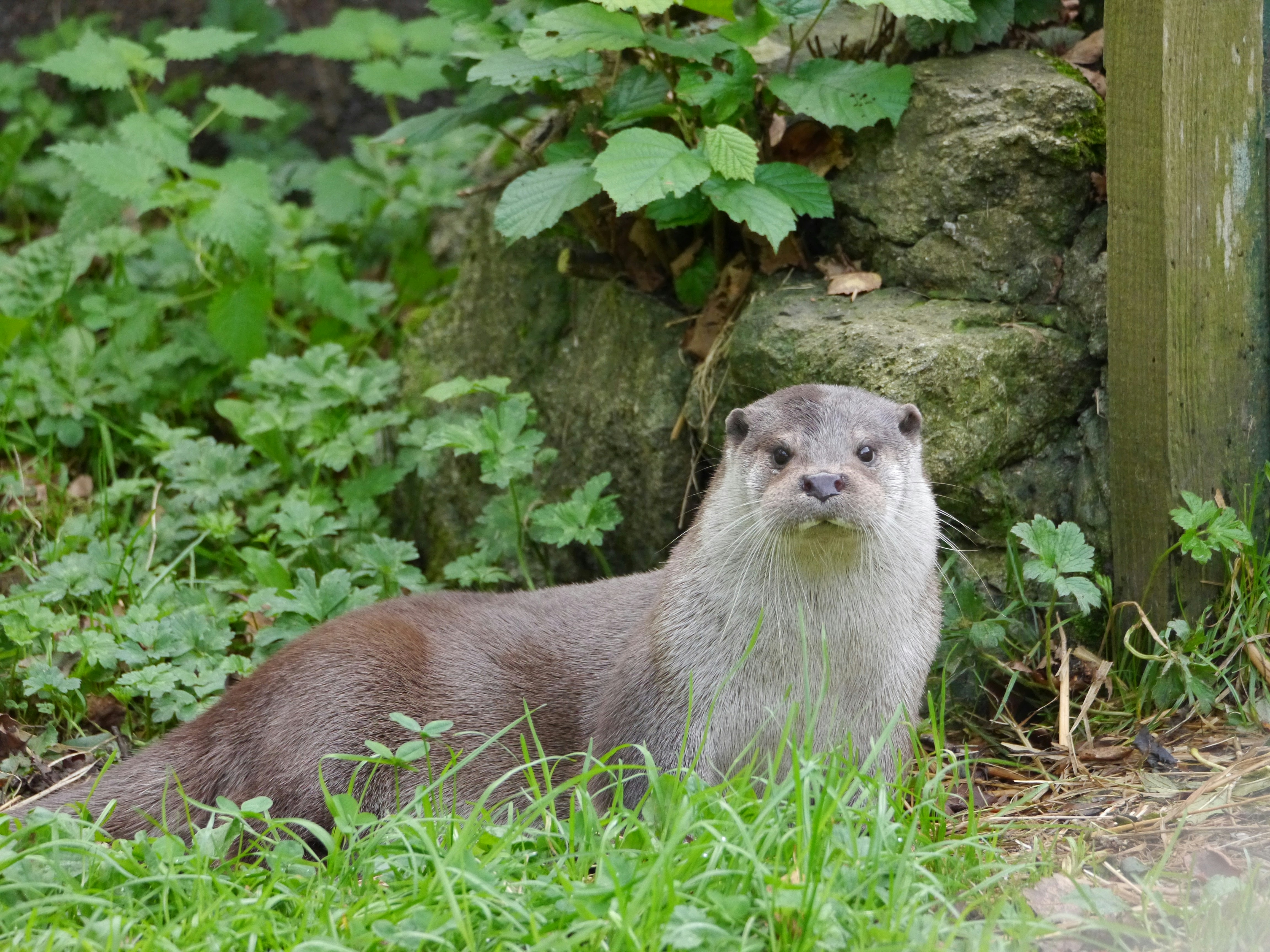 Photo by iqsphotography