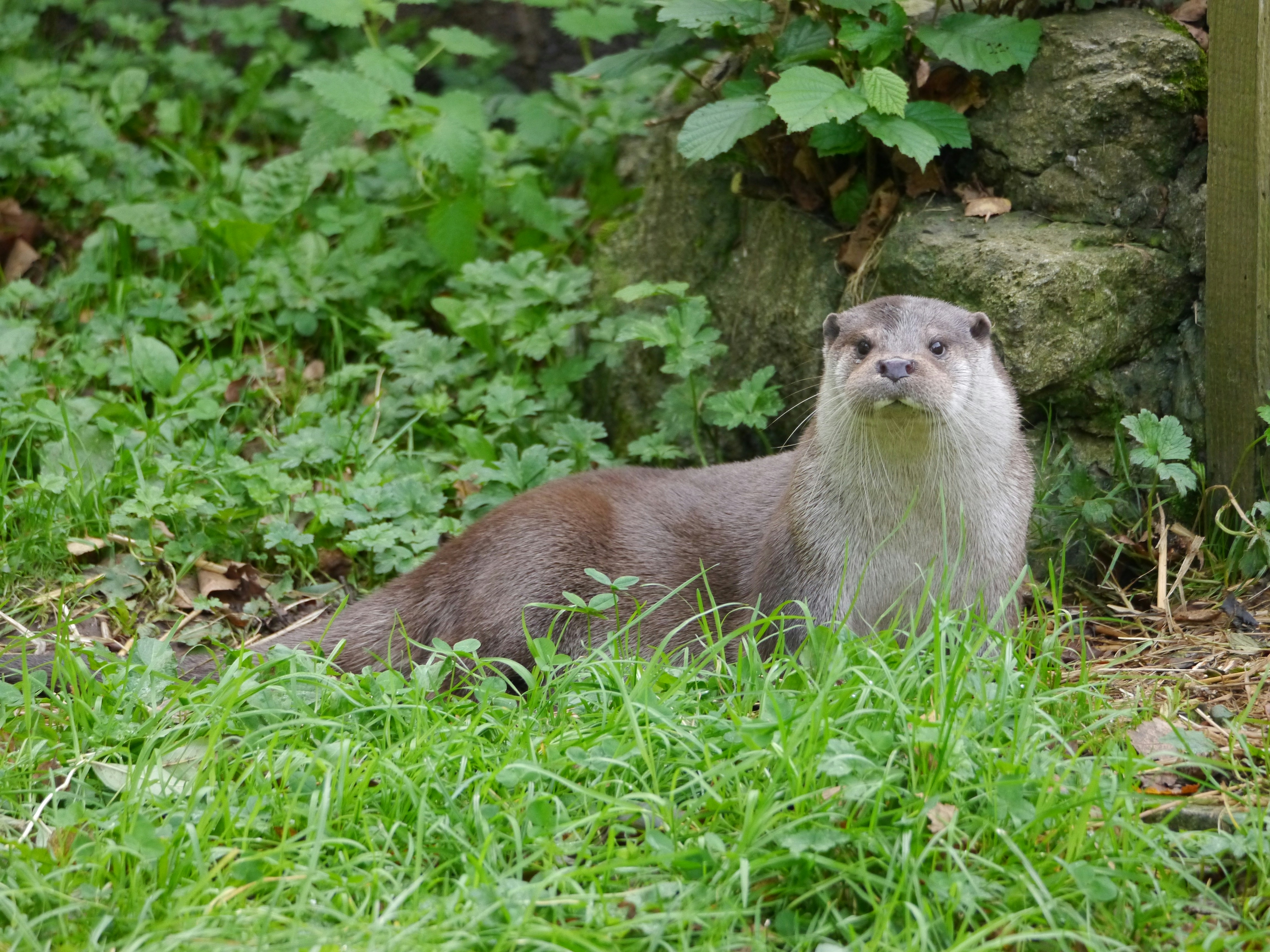 Photo by iqsphotography