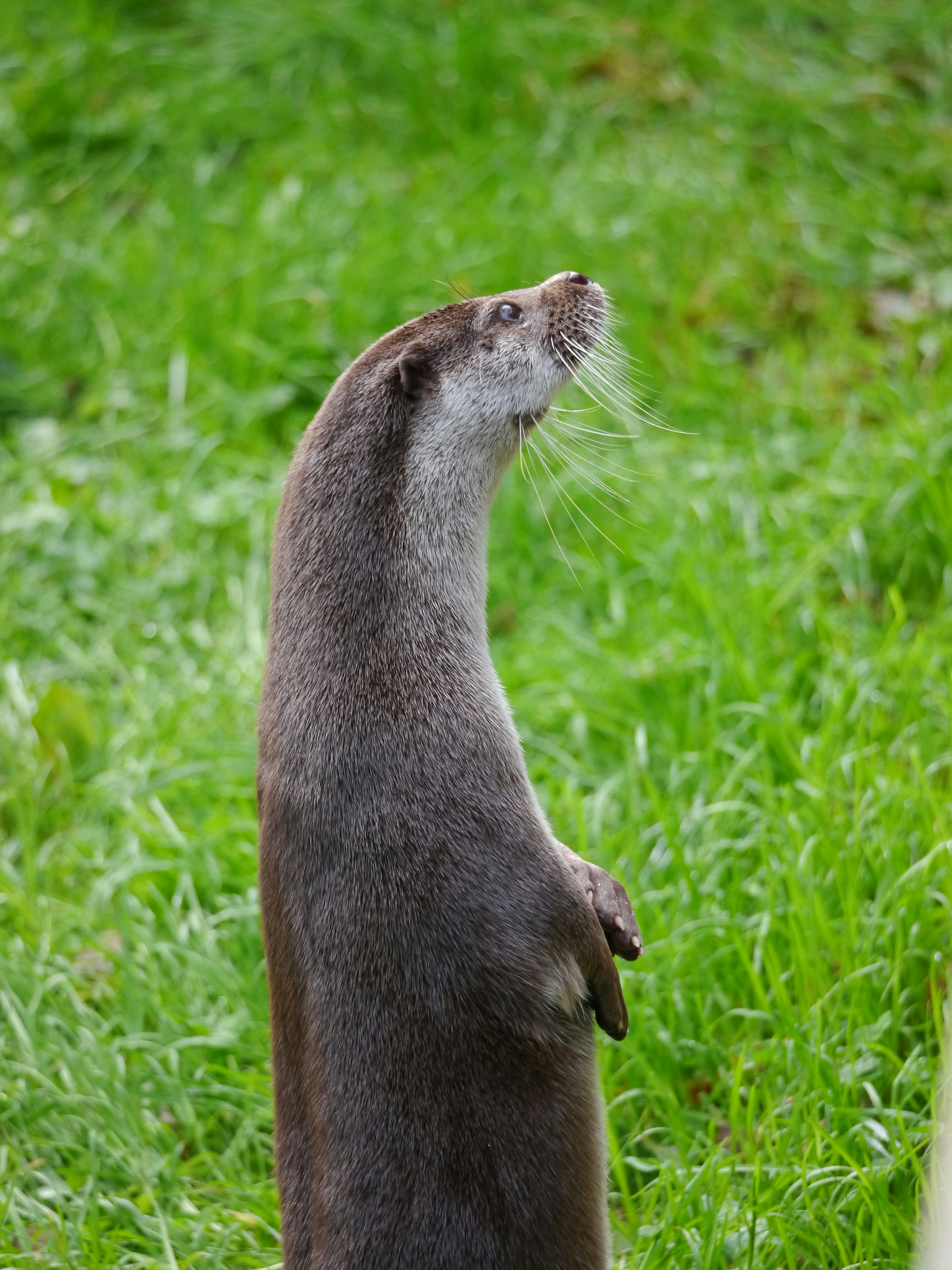 Photo by iqsphotography