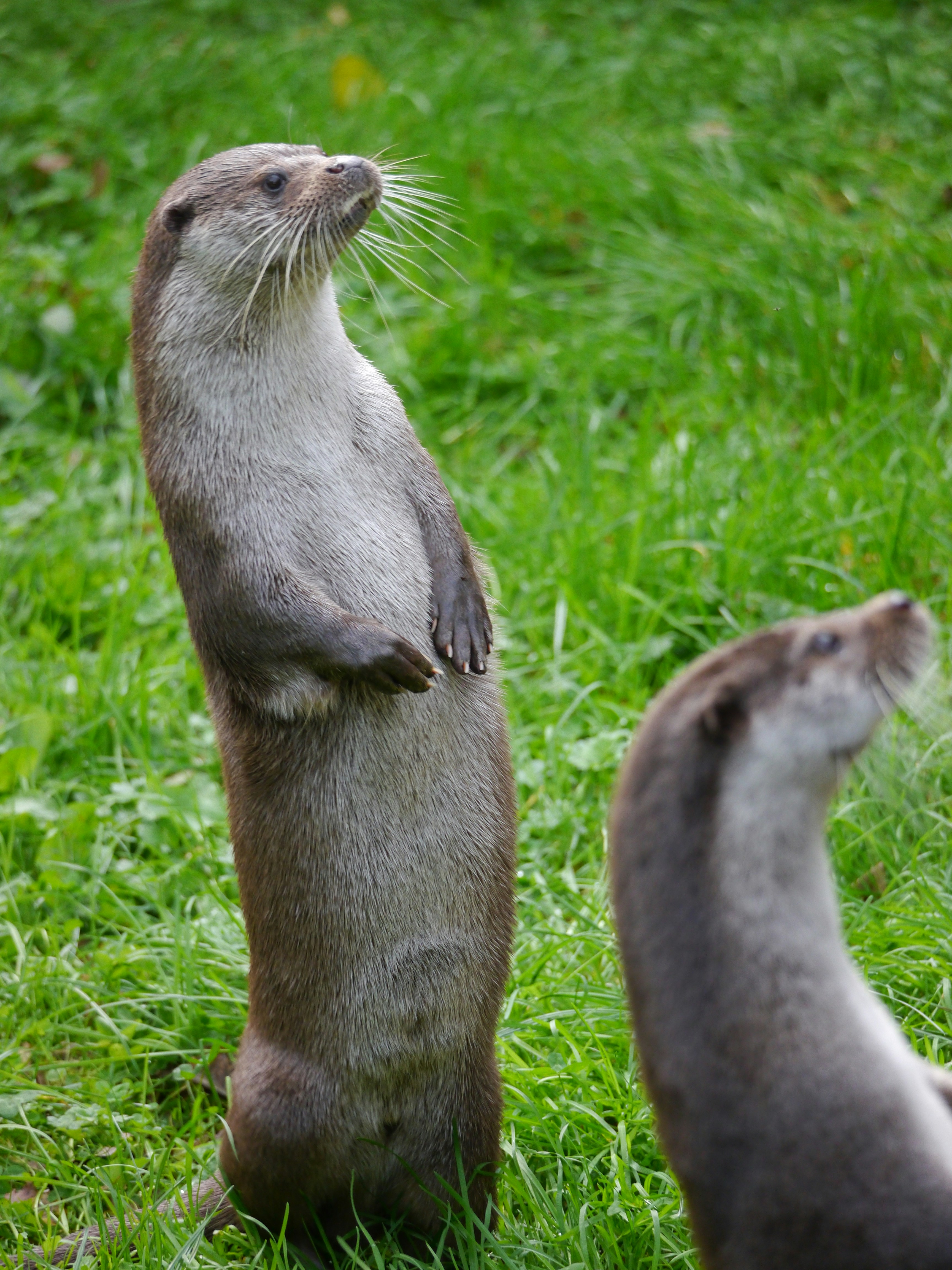 Photo by iqsphotography