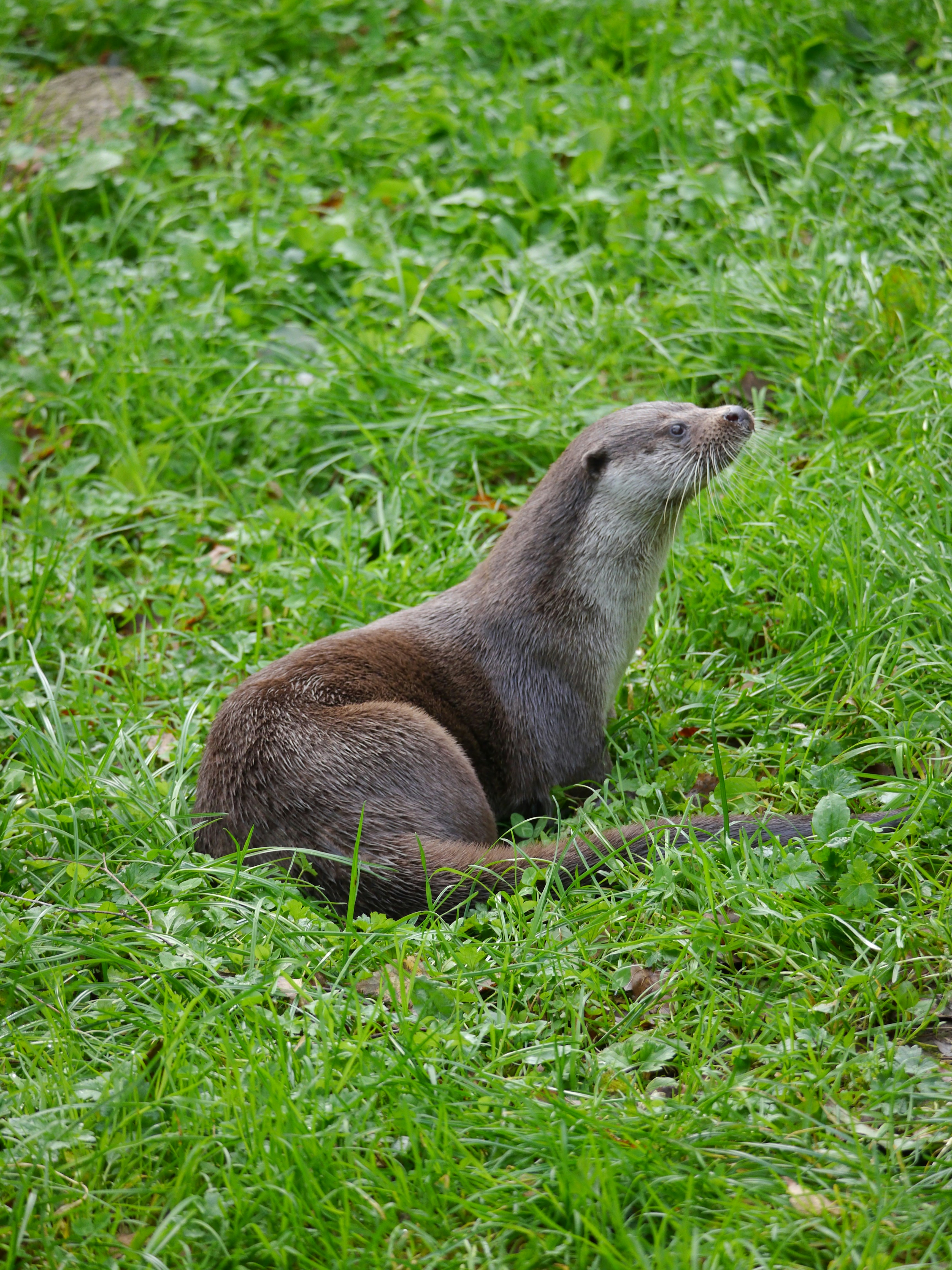 Photo by iqsphotography