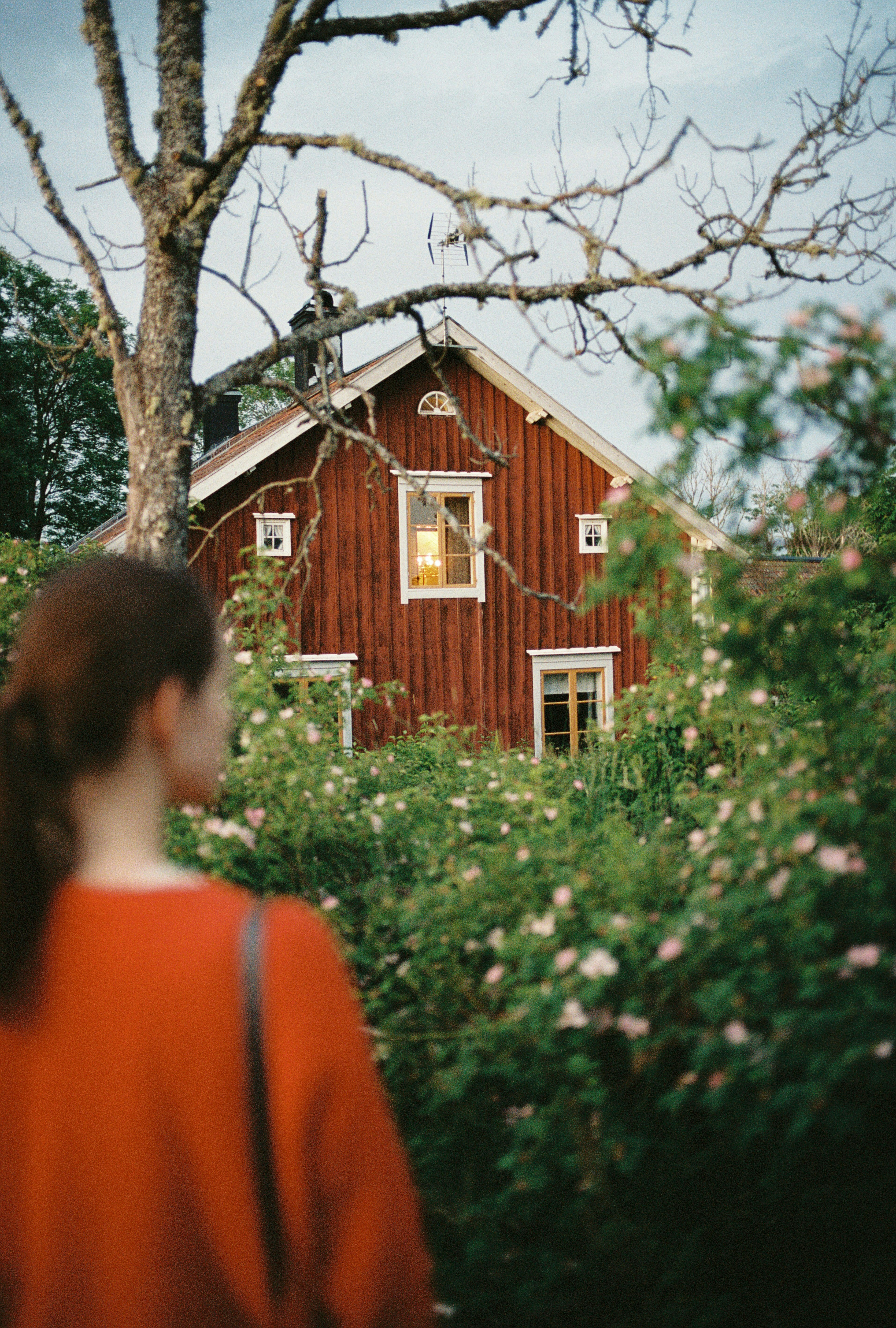 How to Live with a Height of 185 cm: Navigating Life, Style, and Relationships