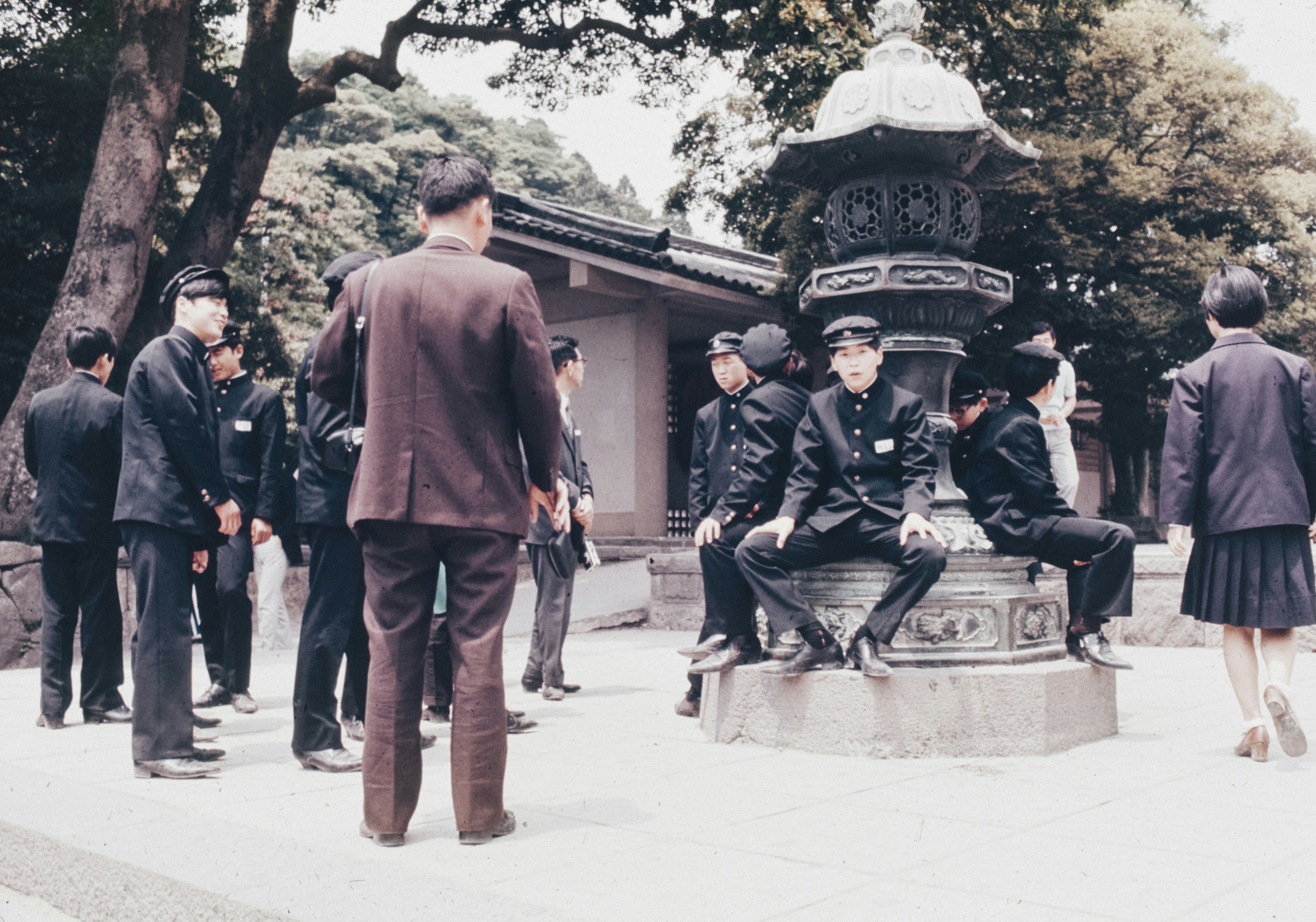 Reflective community gathering in a peaceful park setting