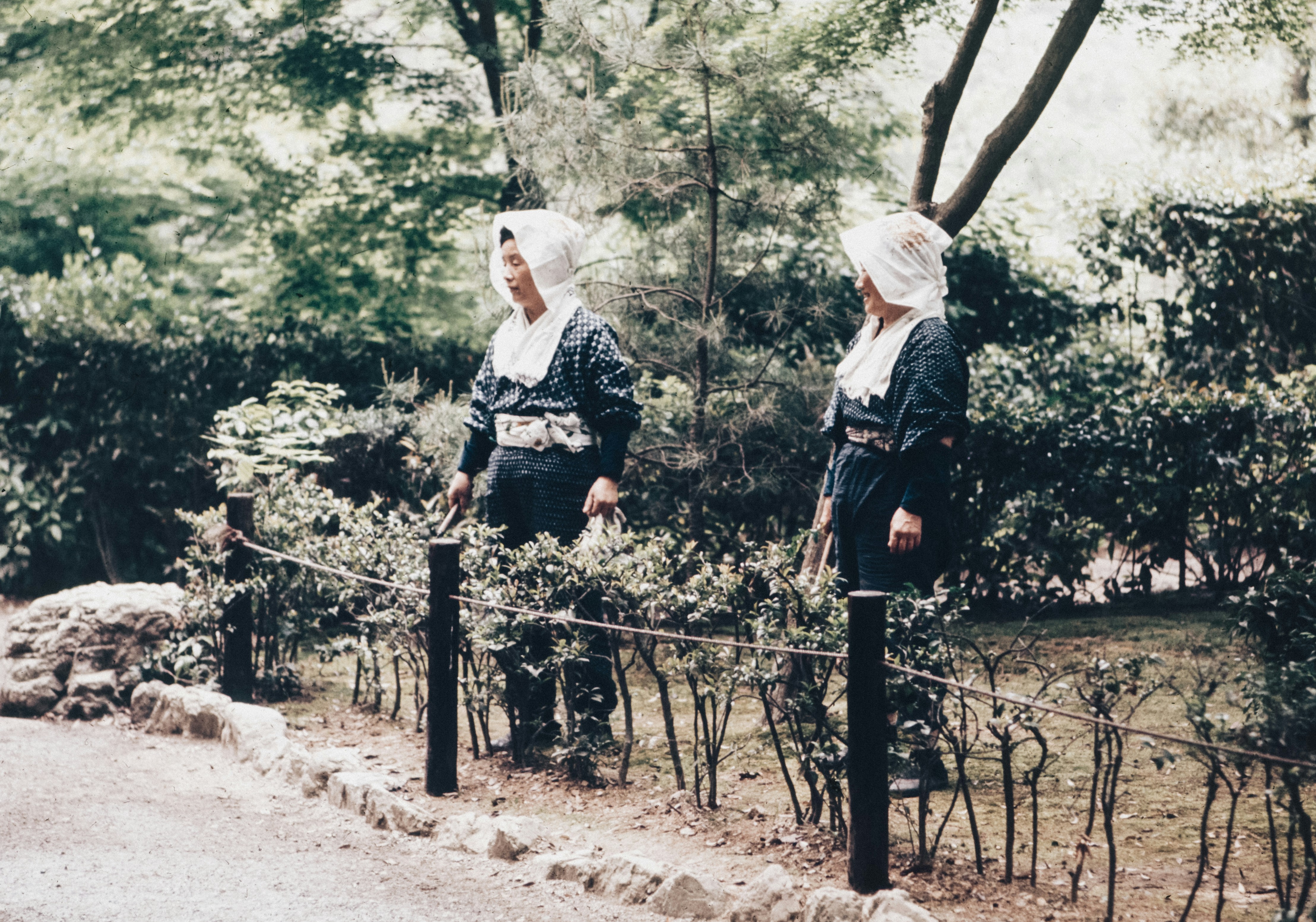 A couple of people that are standing on a fence