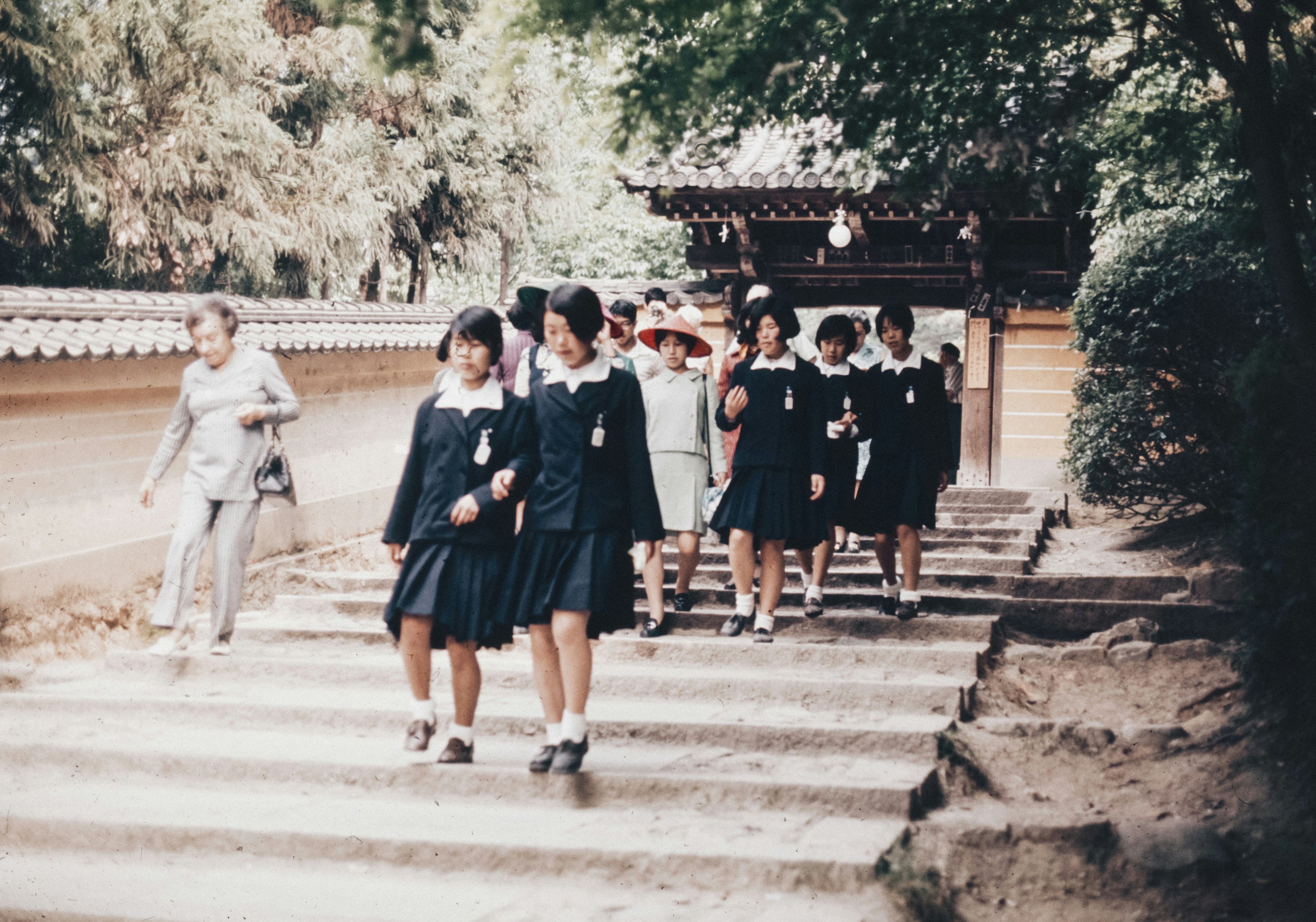 A group of girls walking down a set of stairs