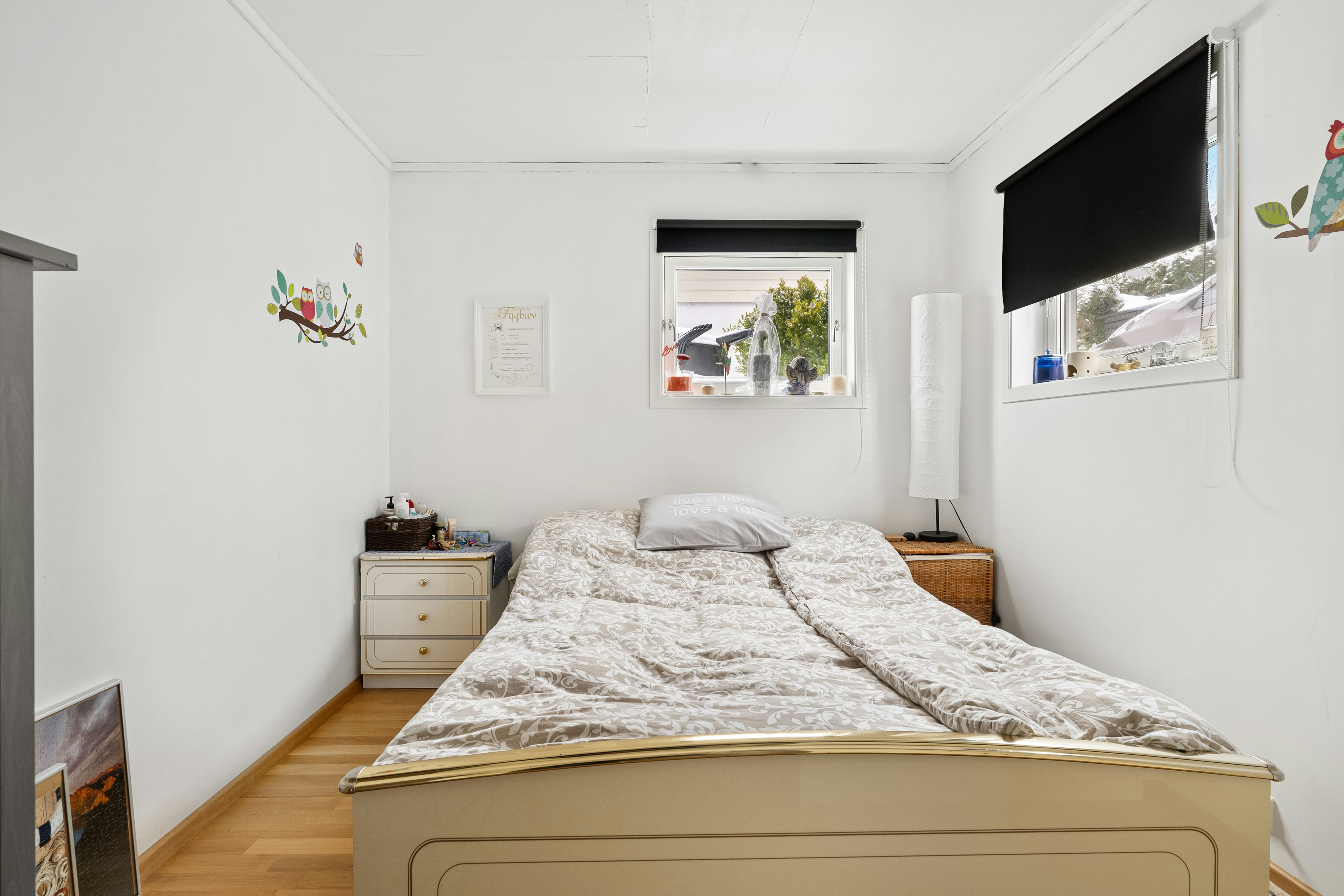 Photo by alextyson195