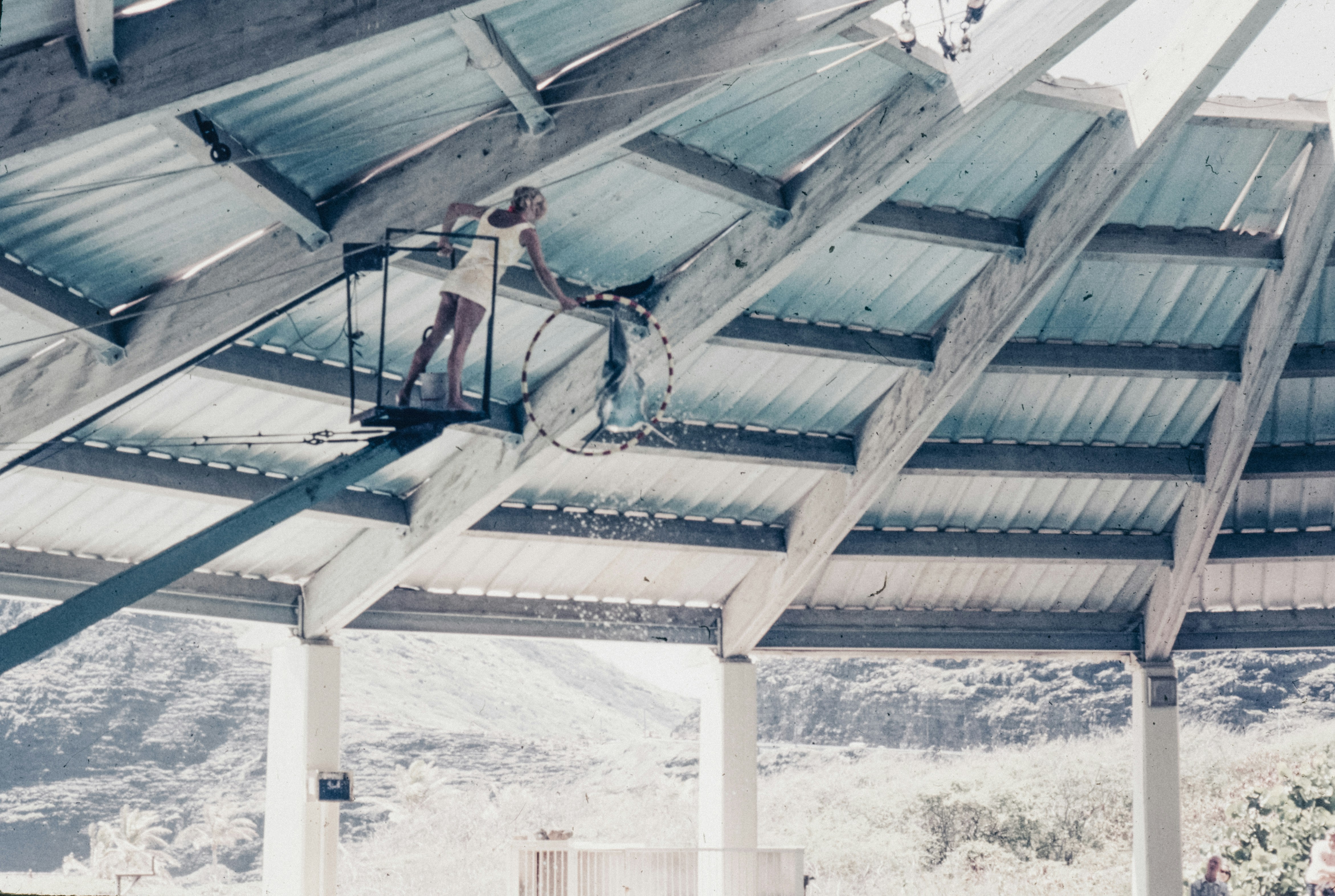A man on a ladder working on the roof of a building