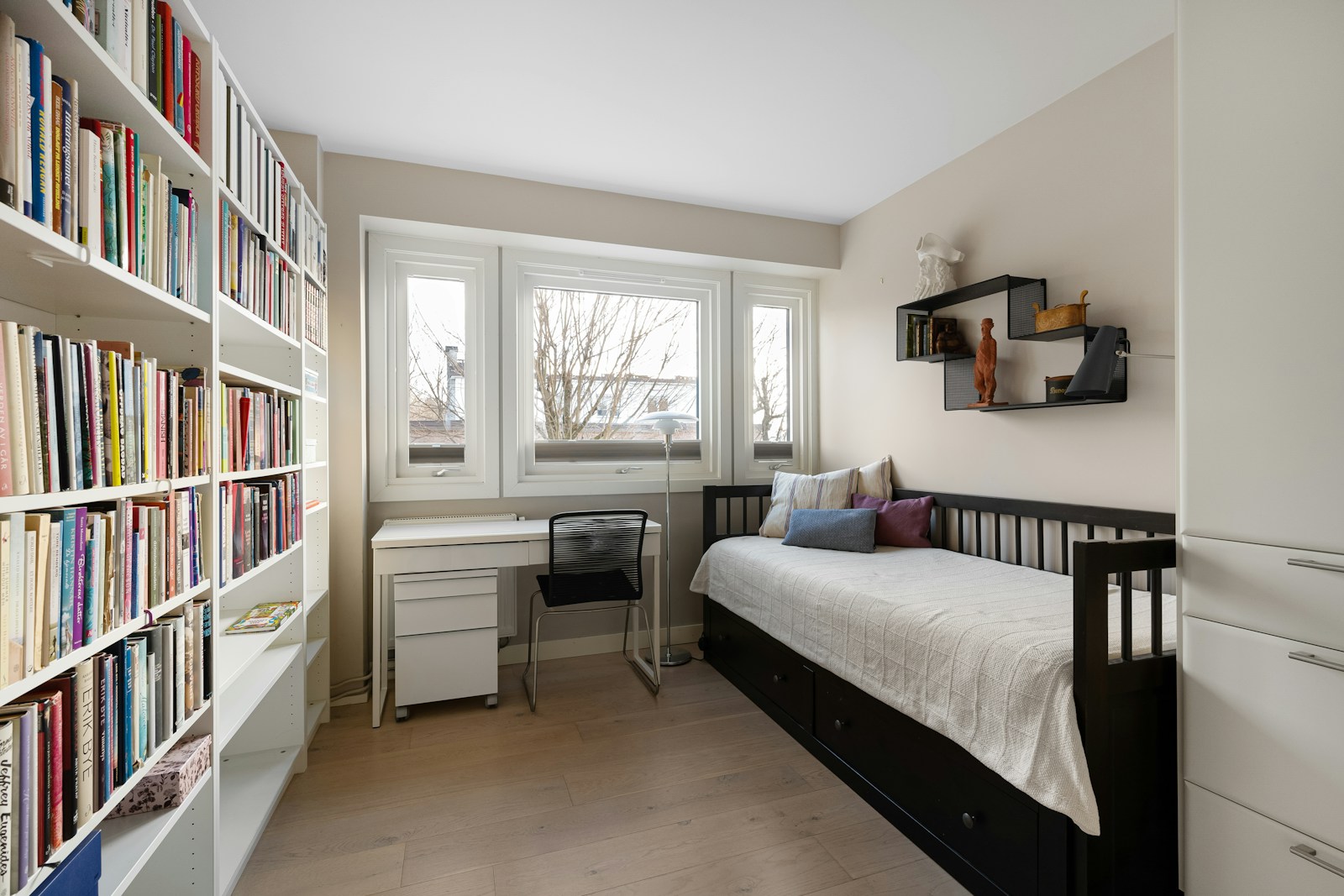 small apartment with built-in bookshelves daybed and desk for young professional
