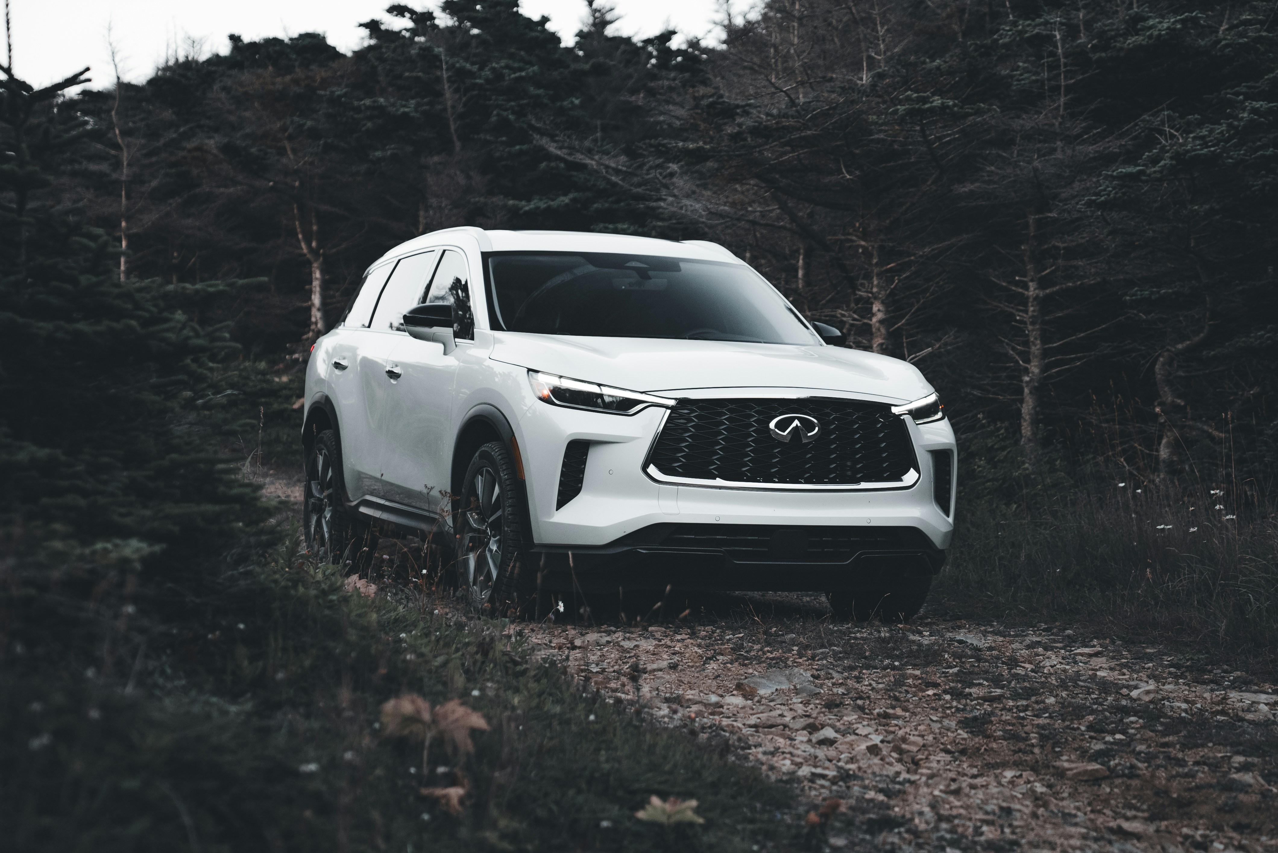 Photo by introspectivedsgn