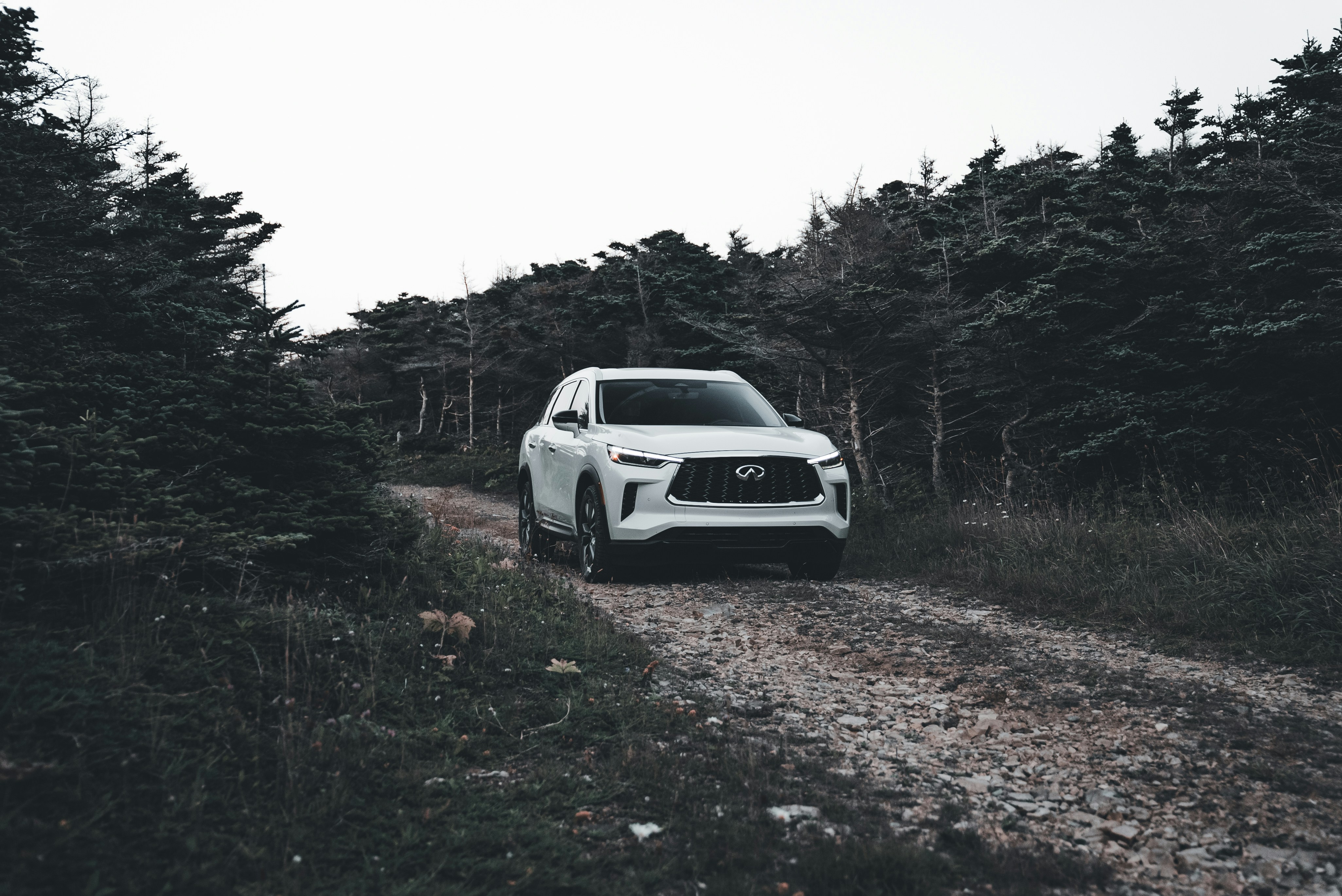 Photo by introspectivedsgn