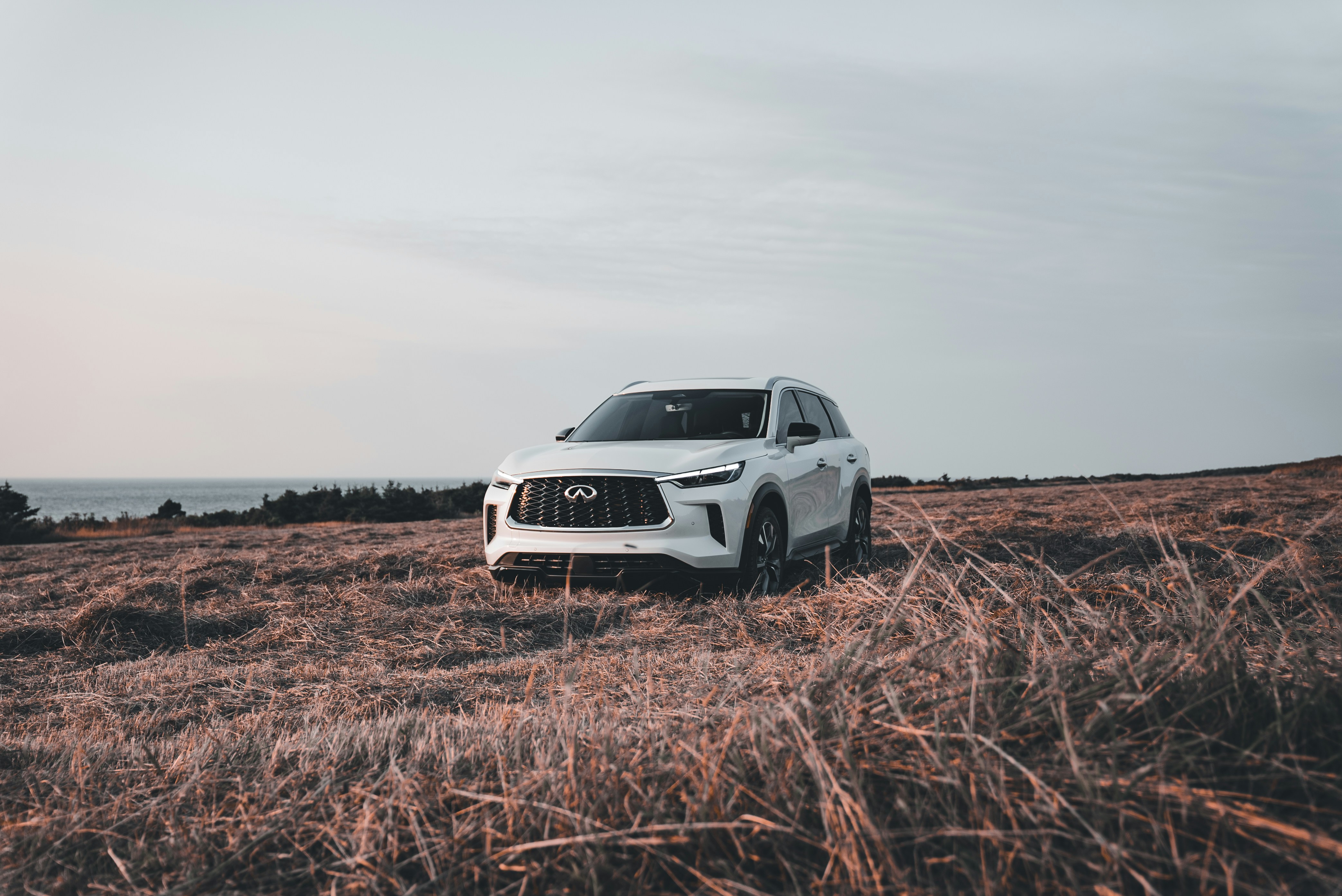 Photo by introspectivedsgn