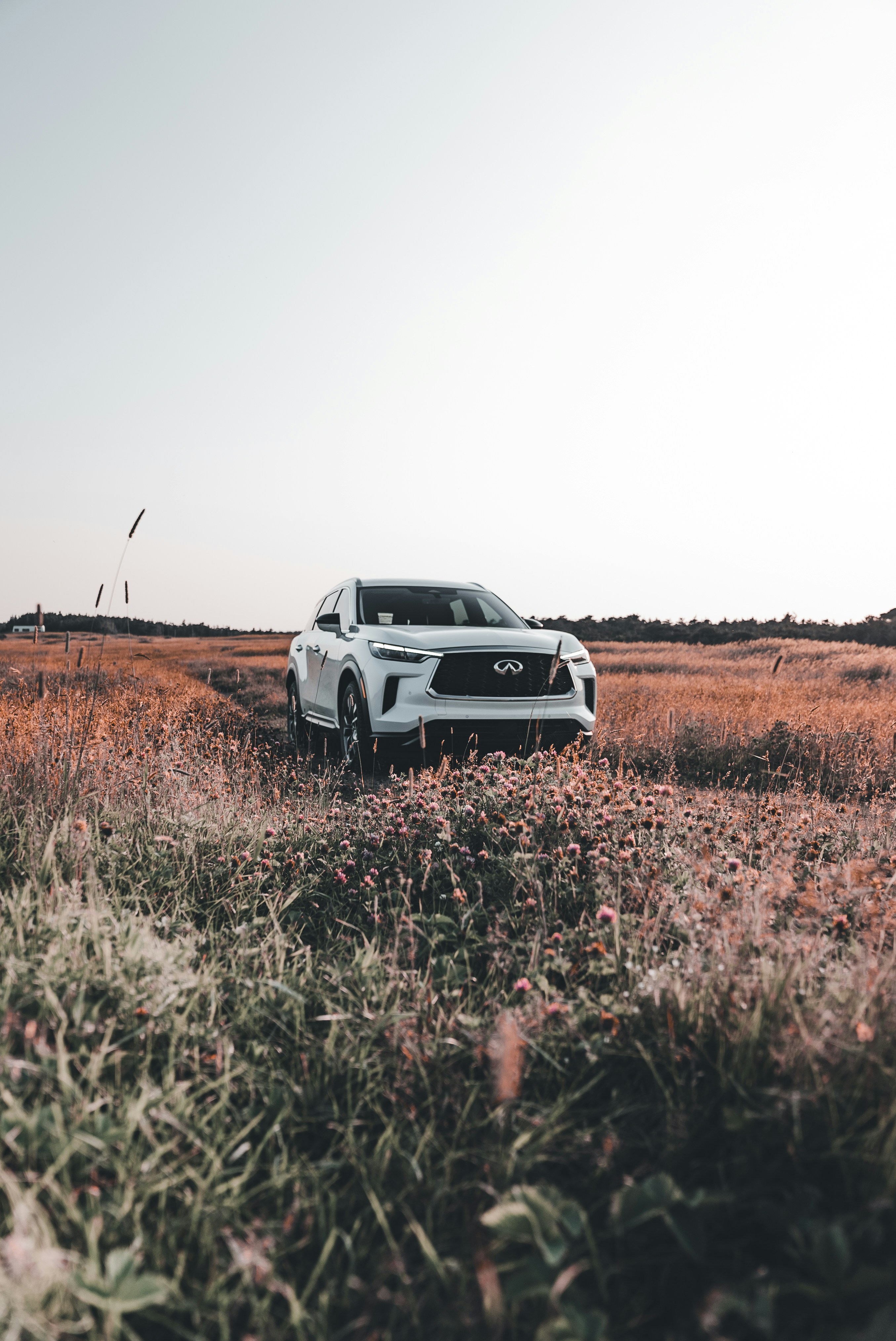 Photo by introspectivedsgn