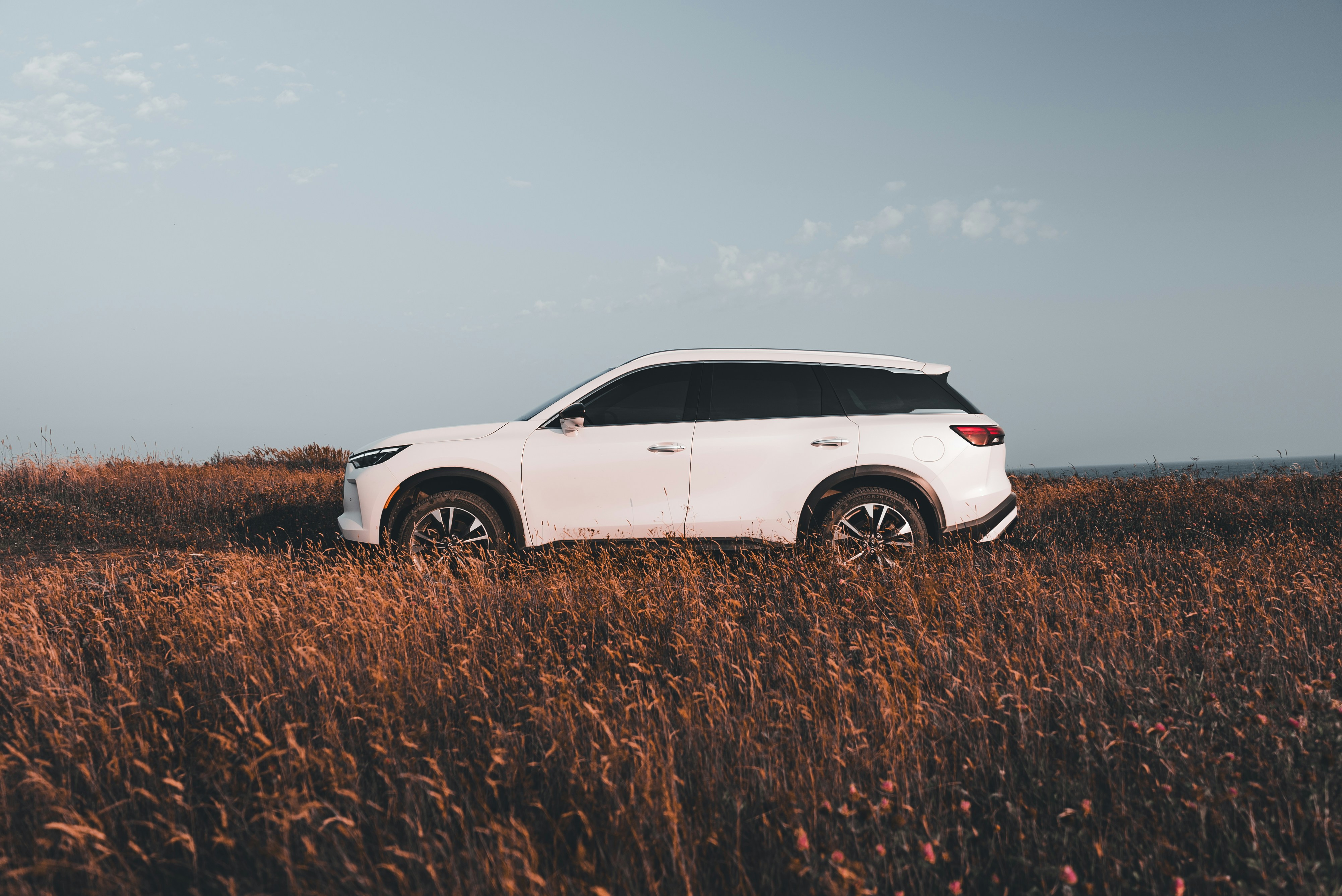 Photo by introspectivedsgn