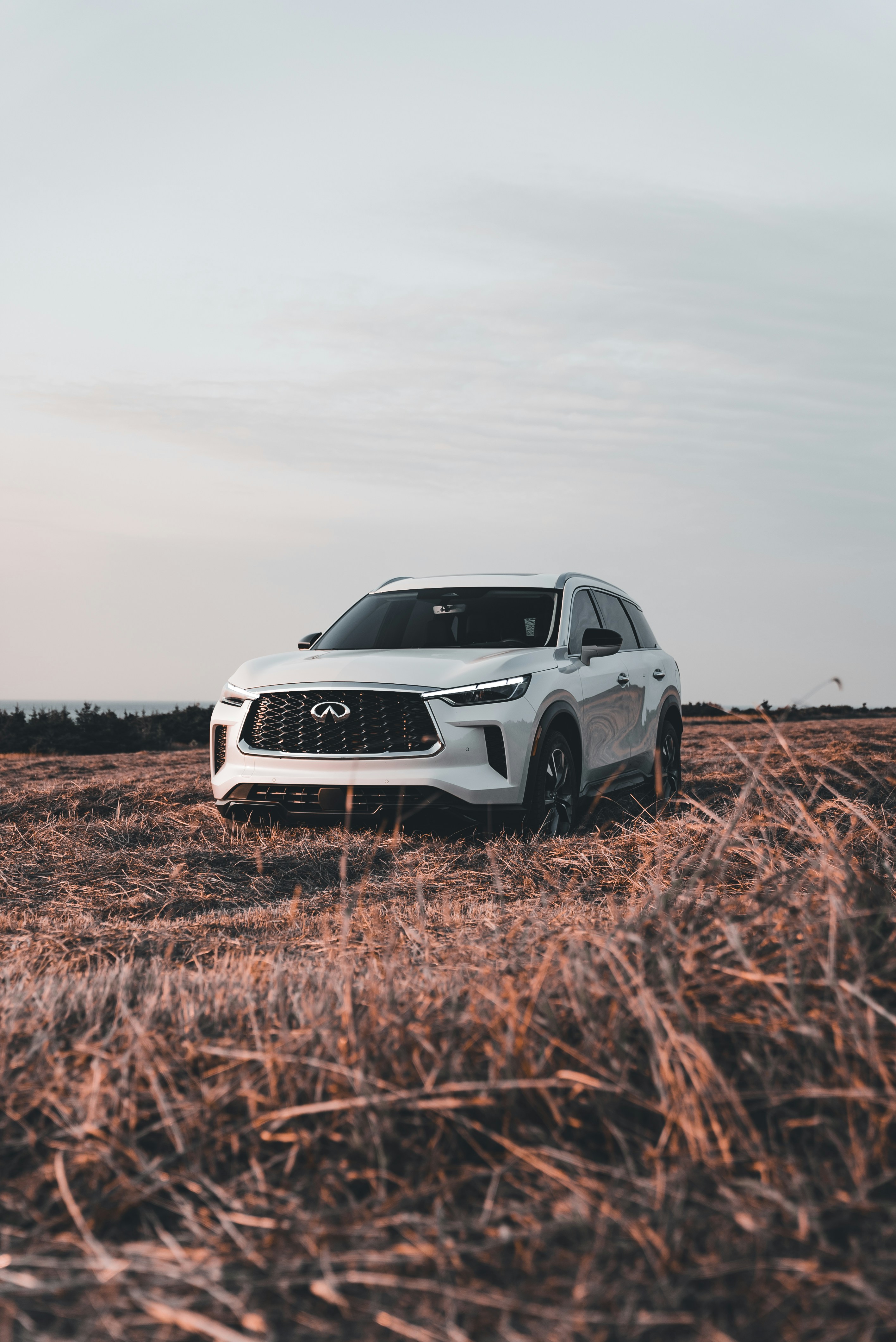 Photo by introspectivedsgn