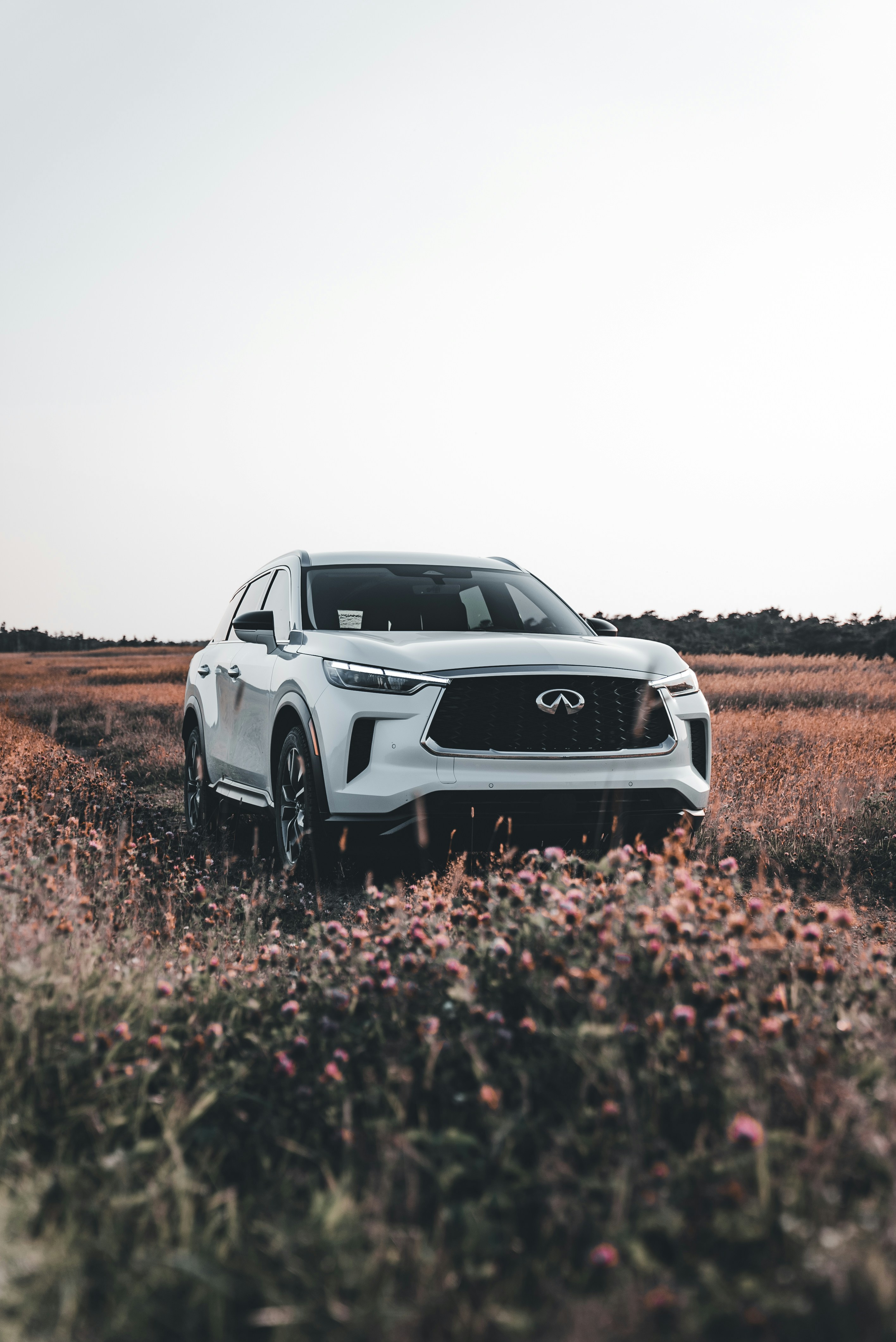 Photo by introspectivedsgn