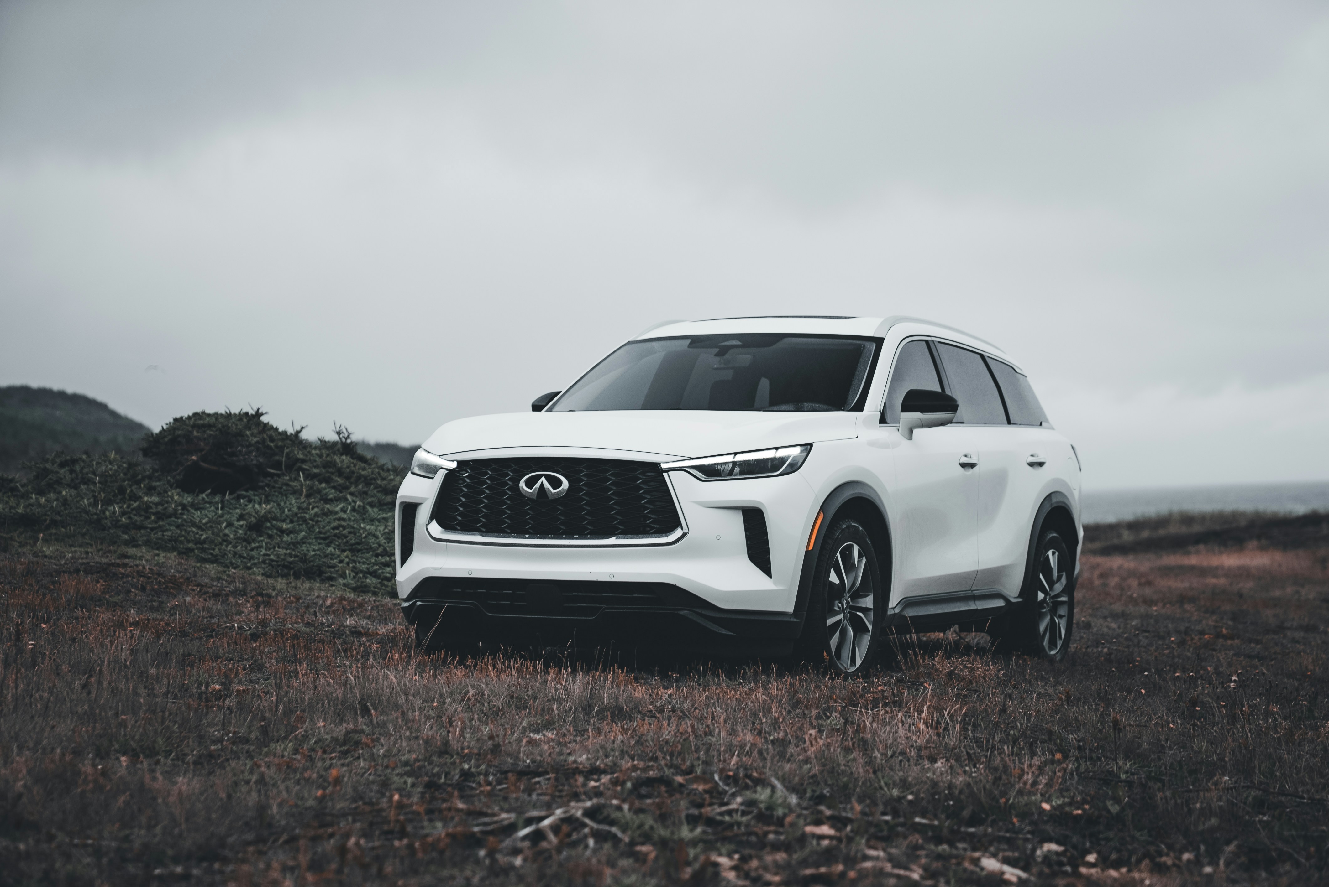 Photo by introspectivedsgn