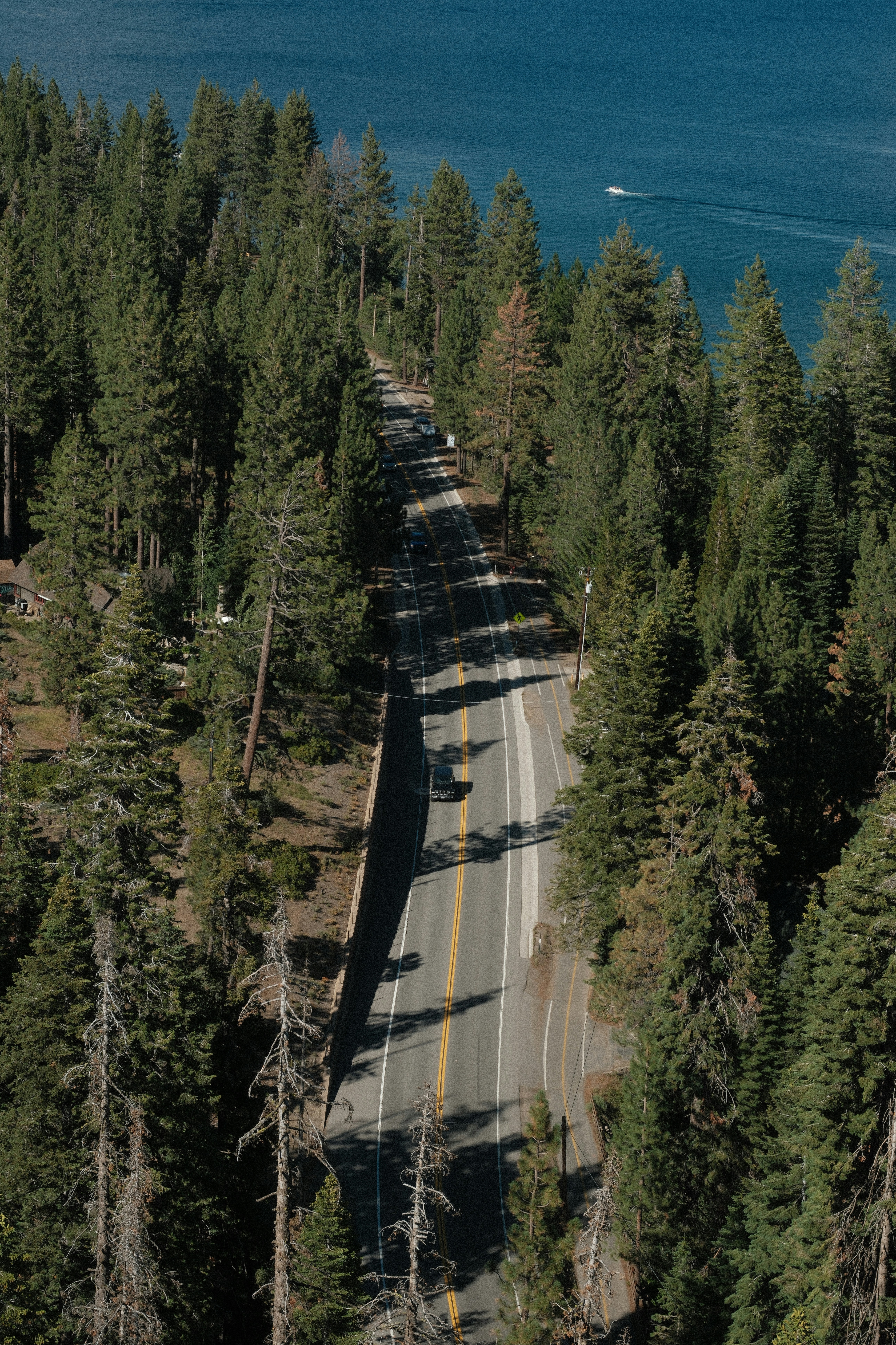 An aerial view of a road surrounded by trees