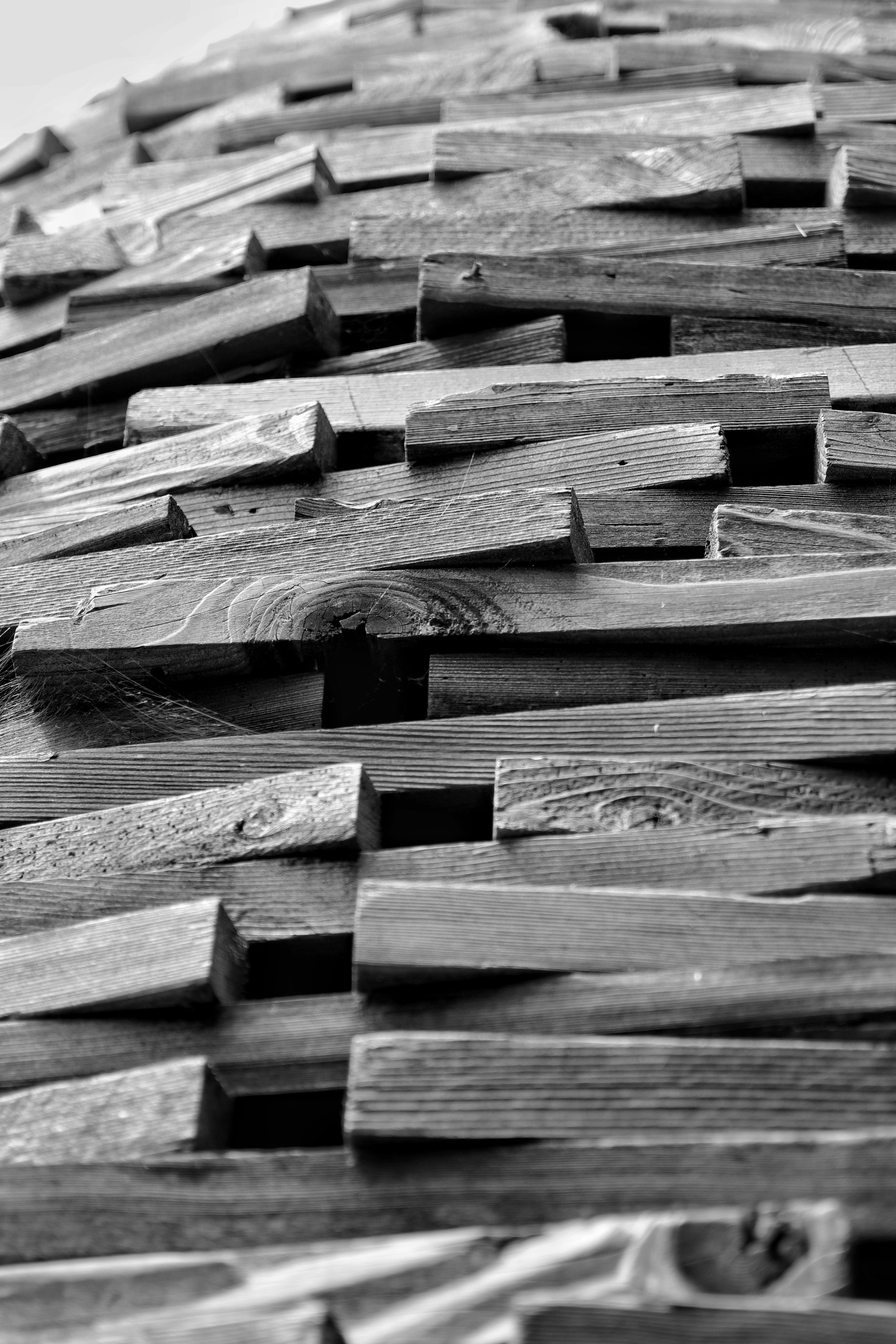 Photo by m_mendez_ix