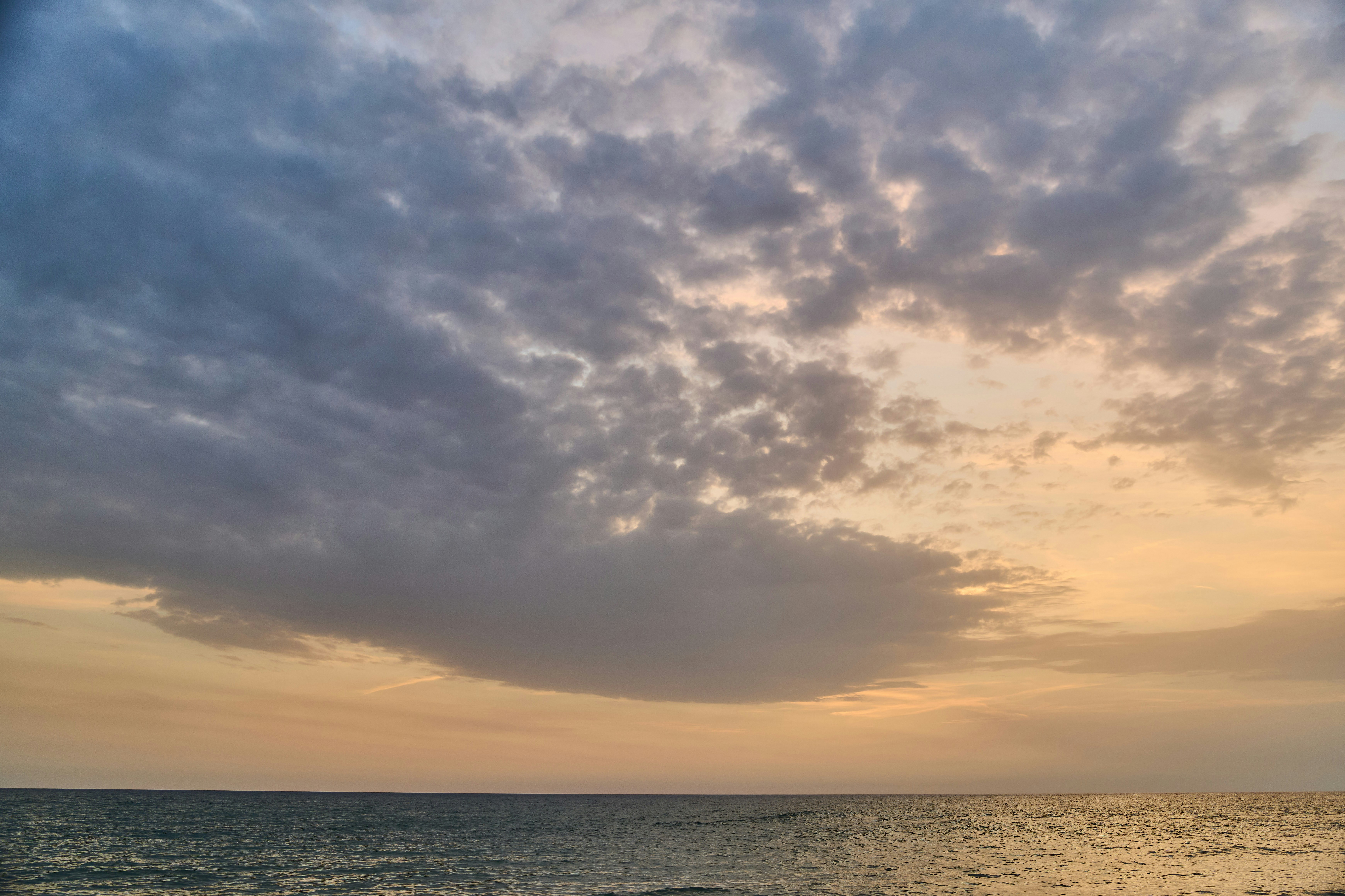 Photo by wolfgang_hasselmann