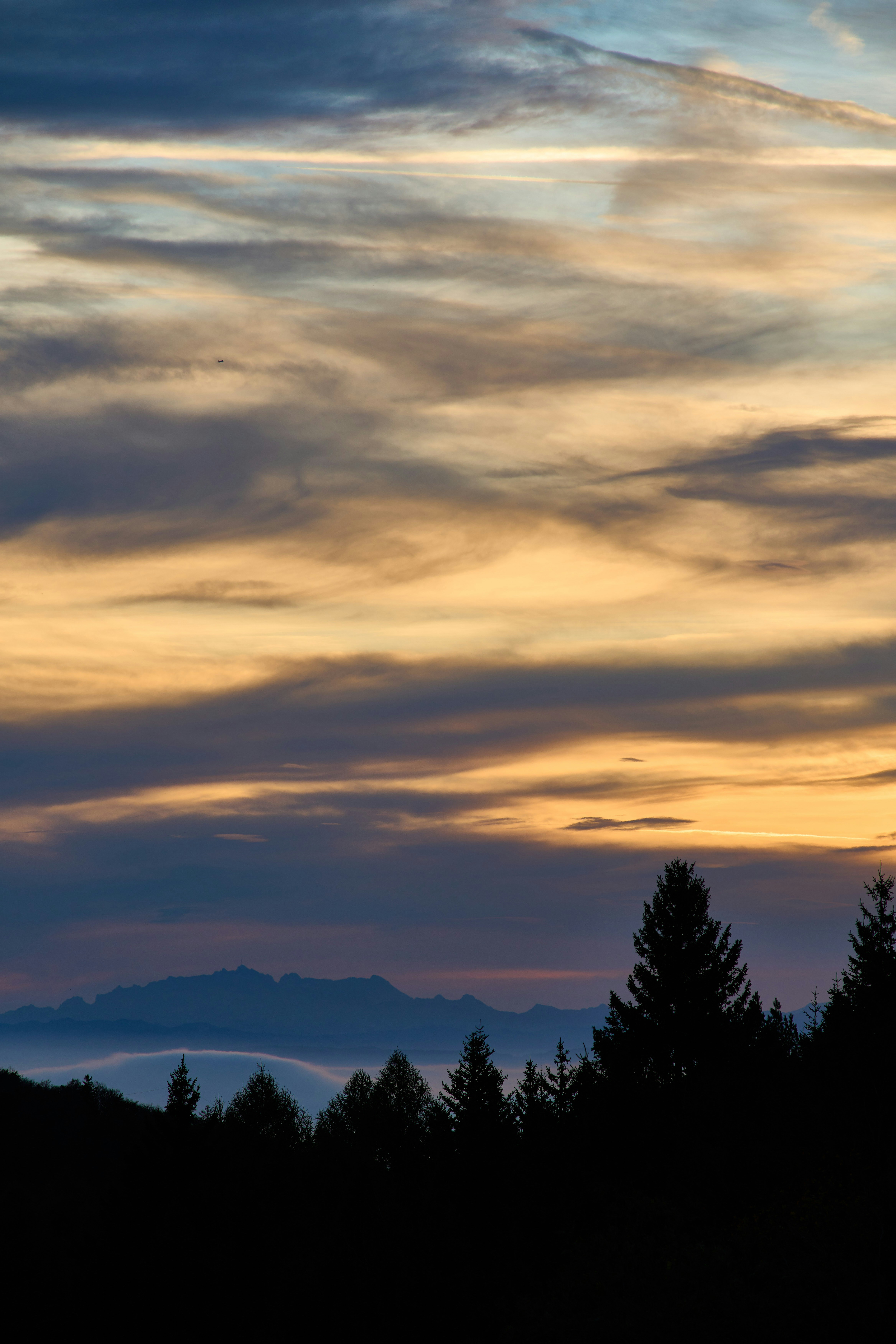 Photo by wolfgang_hasselmann