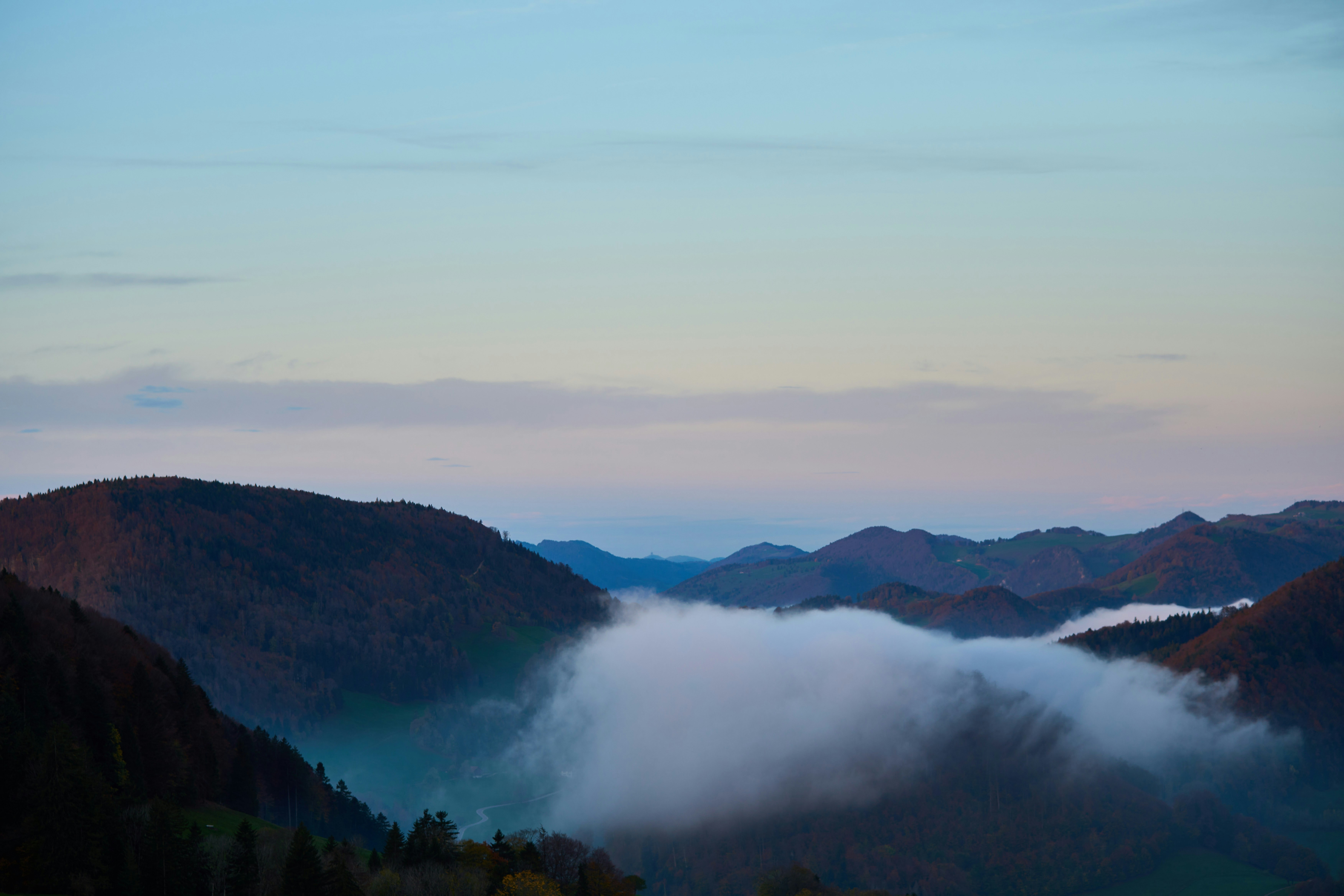 Photo by wolfgang_hasselmann