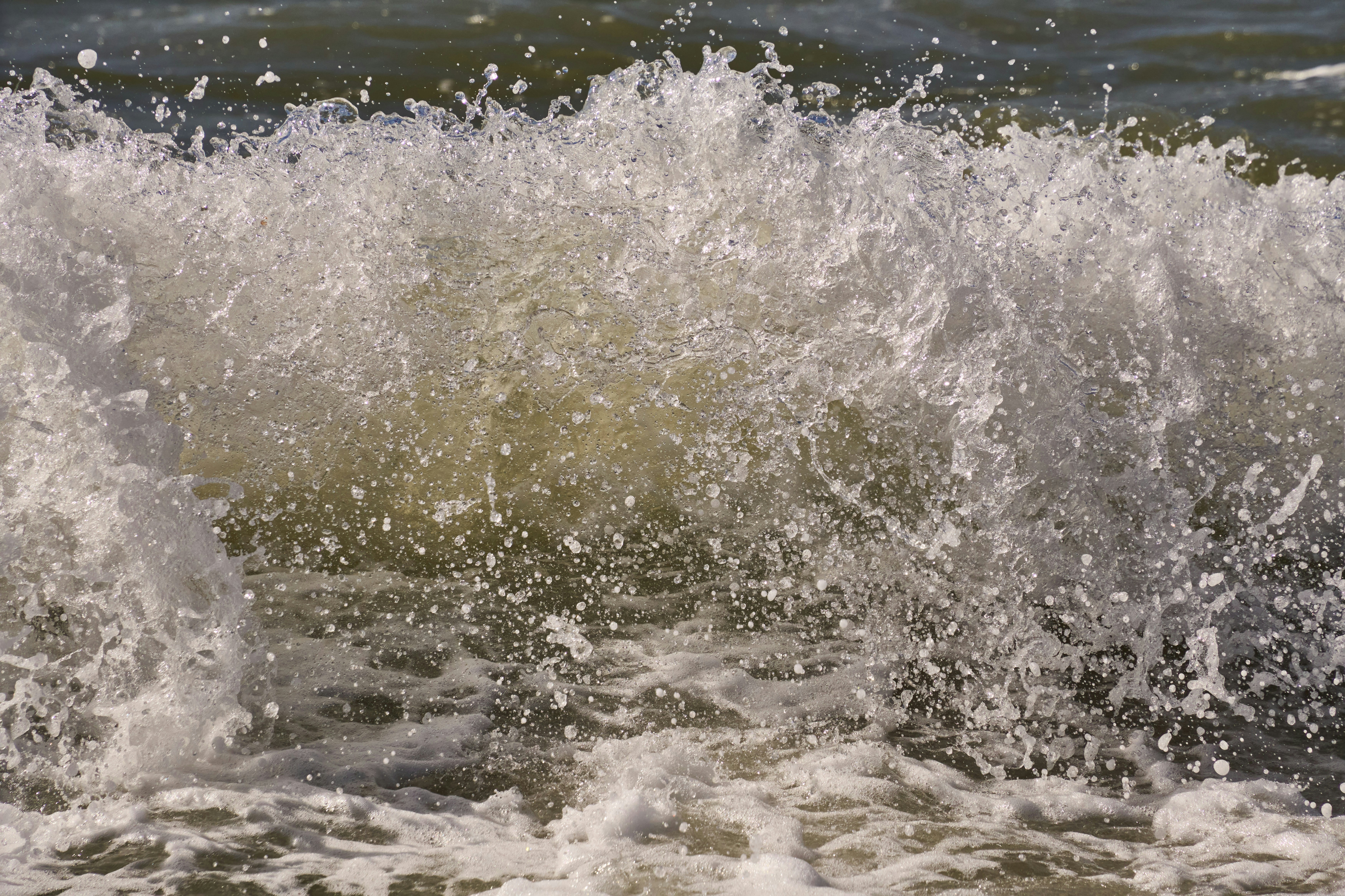 Photo by wolfgang_hasselmann