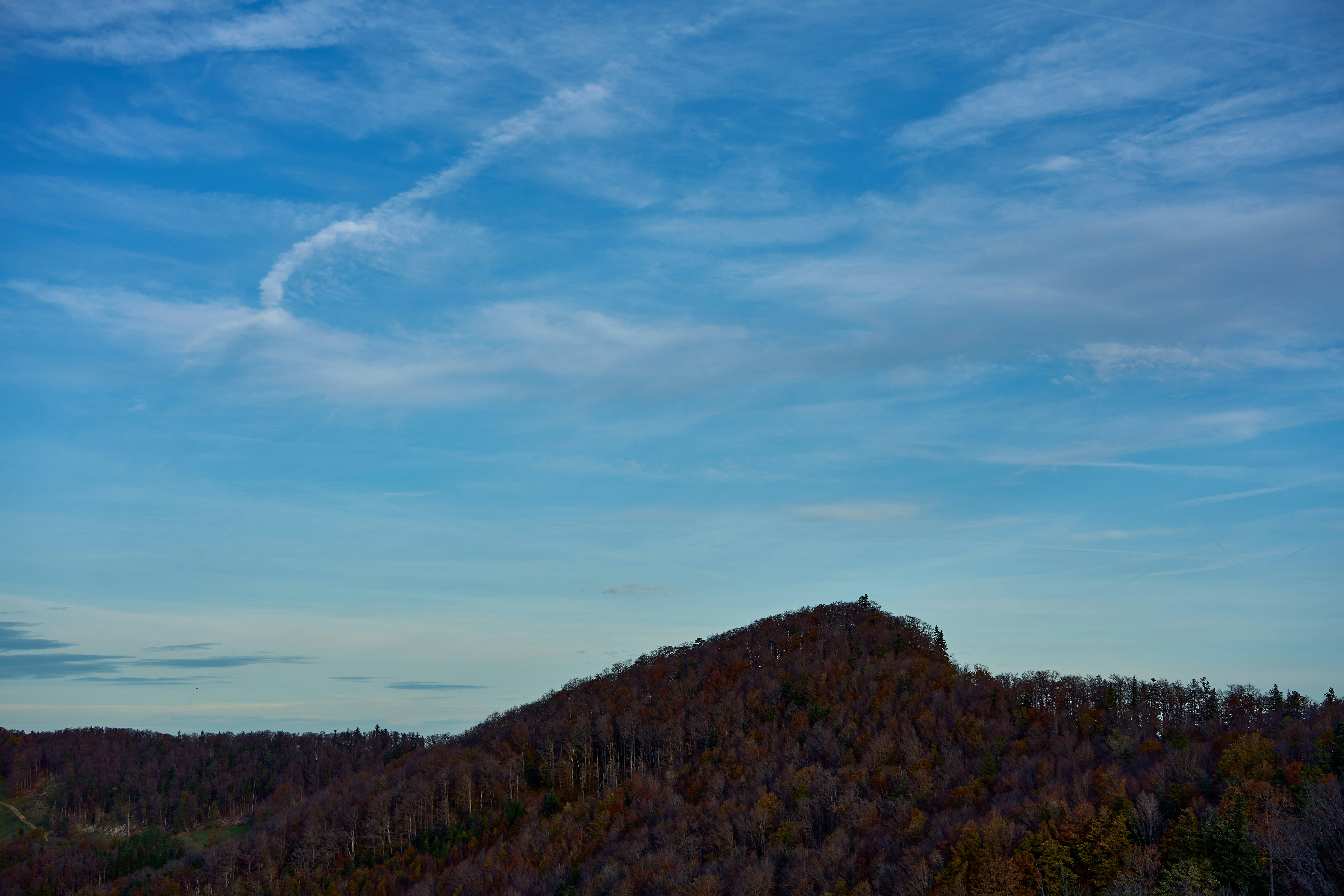 Photo by wolfgang_hasselmann