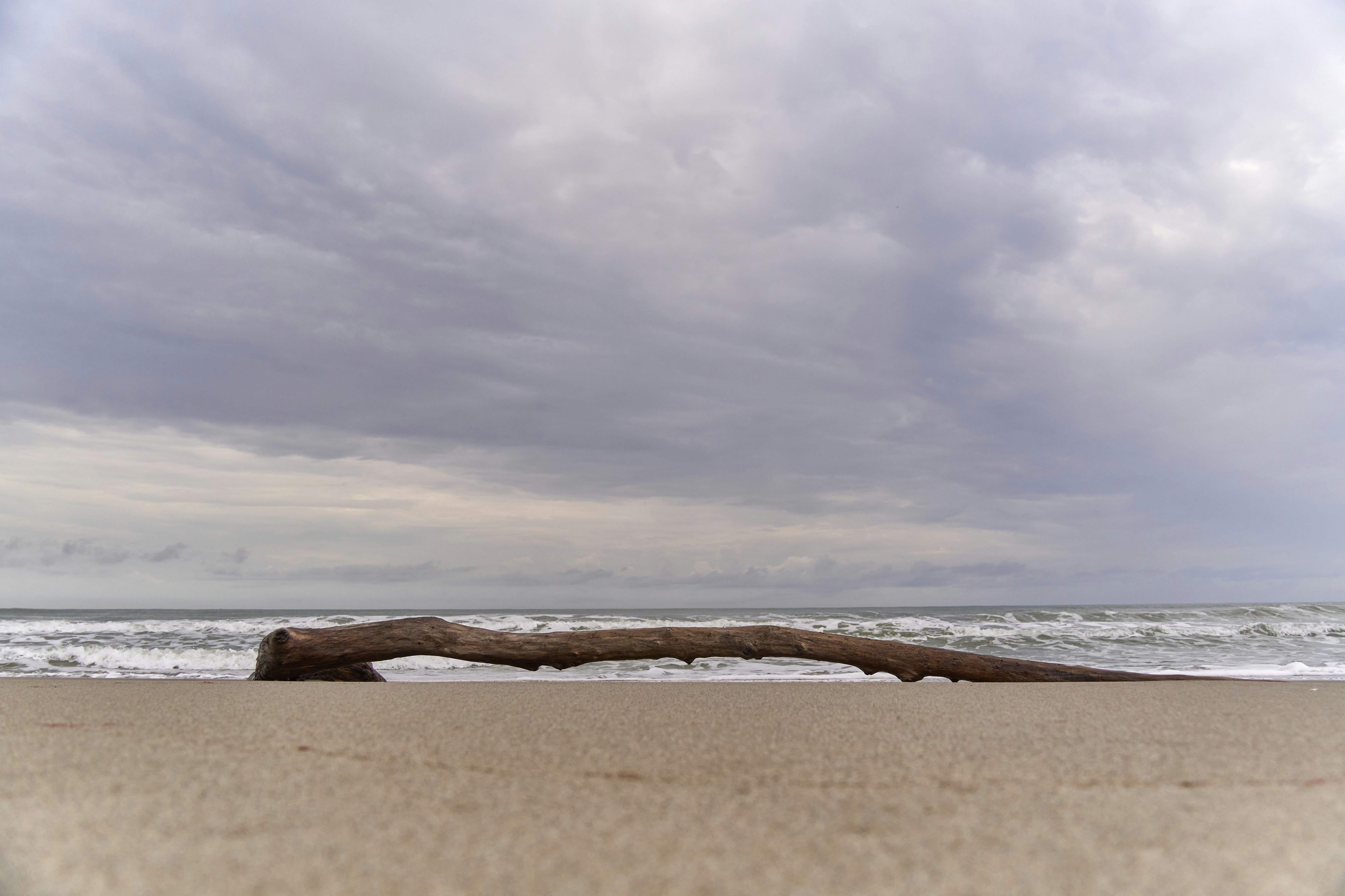 Photo by wolfgang_hasselmann