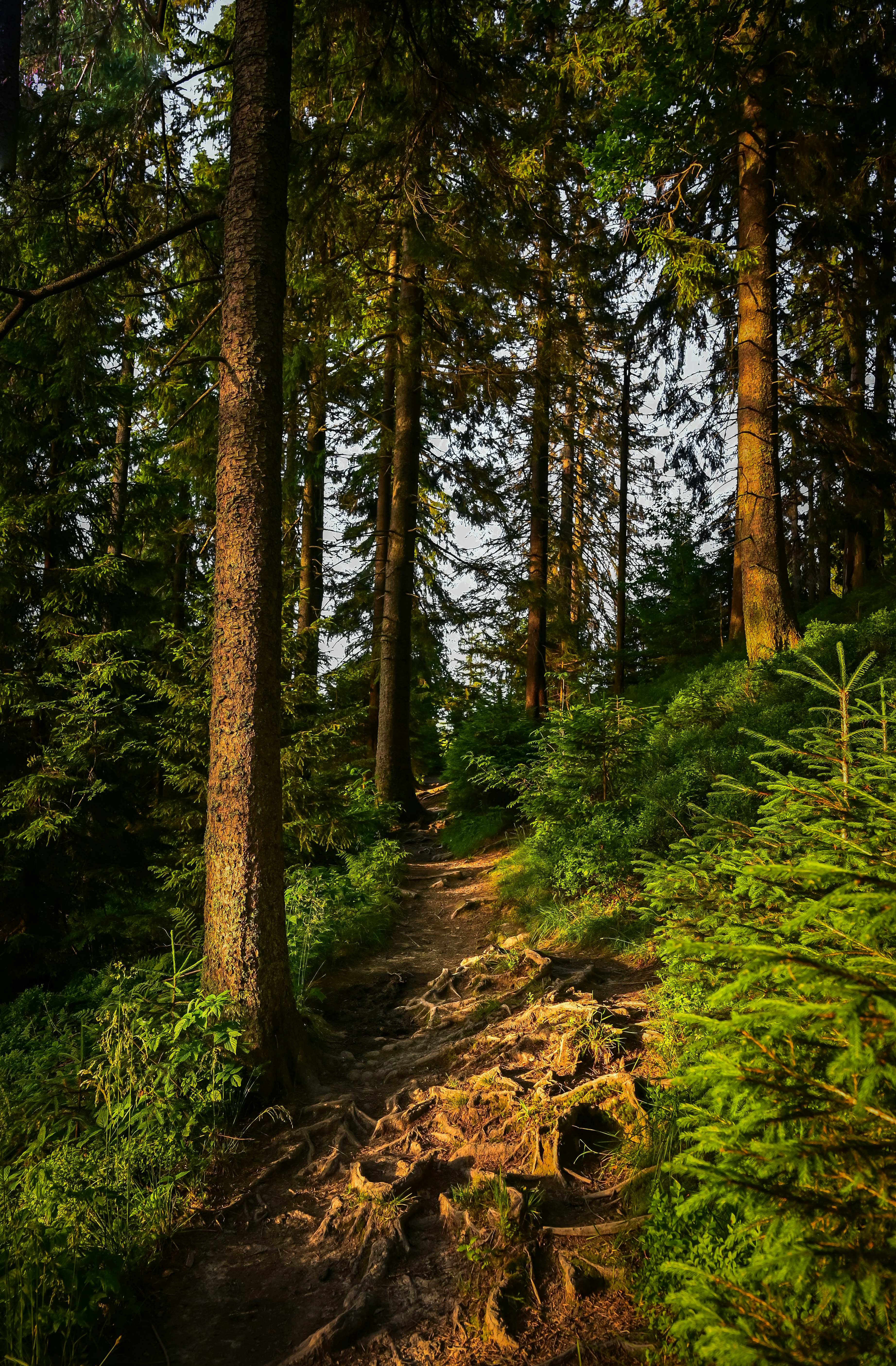 Photo by alexandra_p_d