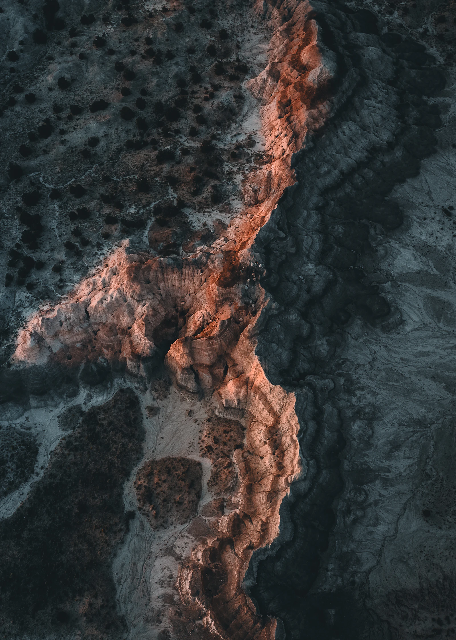 Aerial view of a beach and a body of water