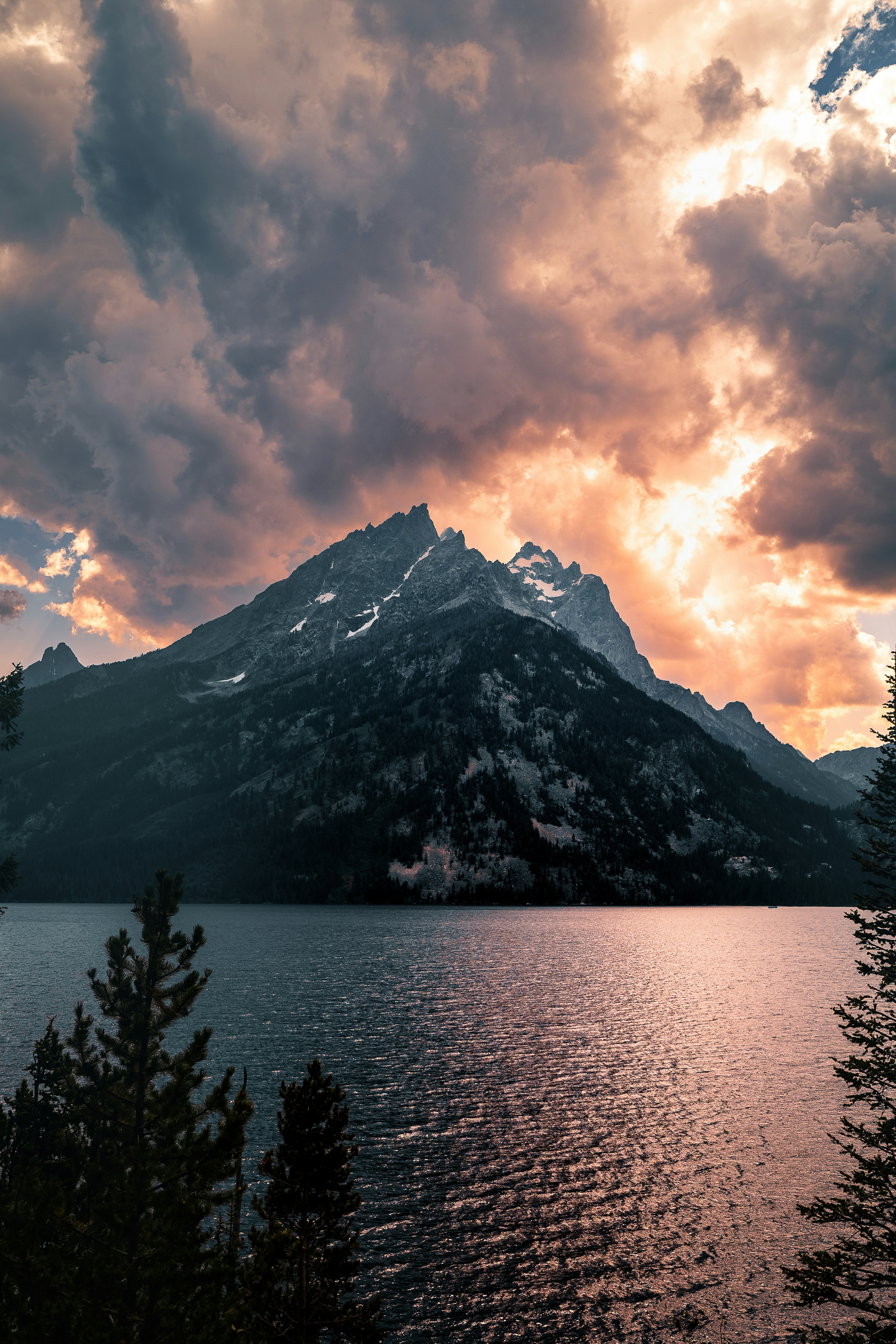 Photo by jarvisphoto