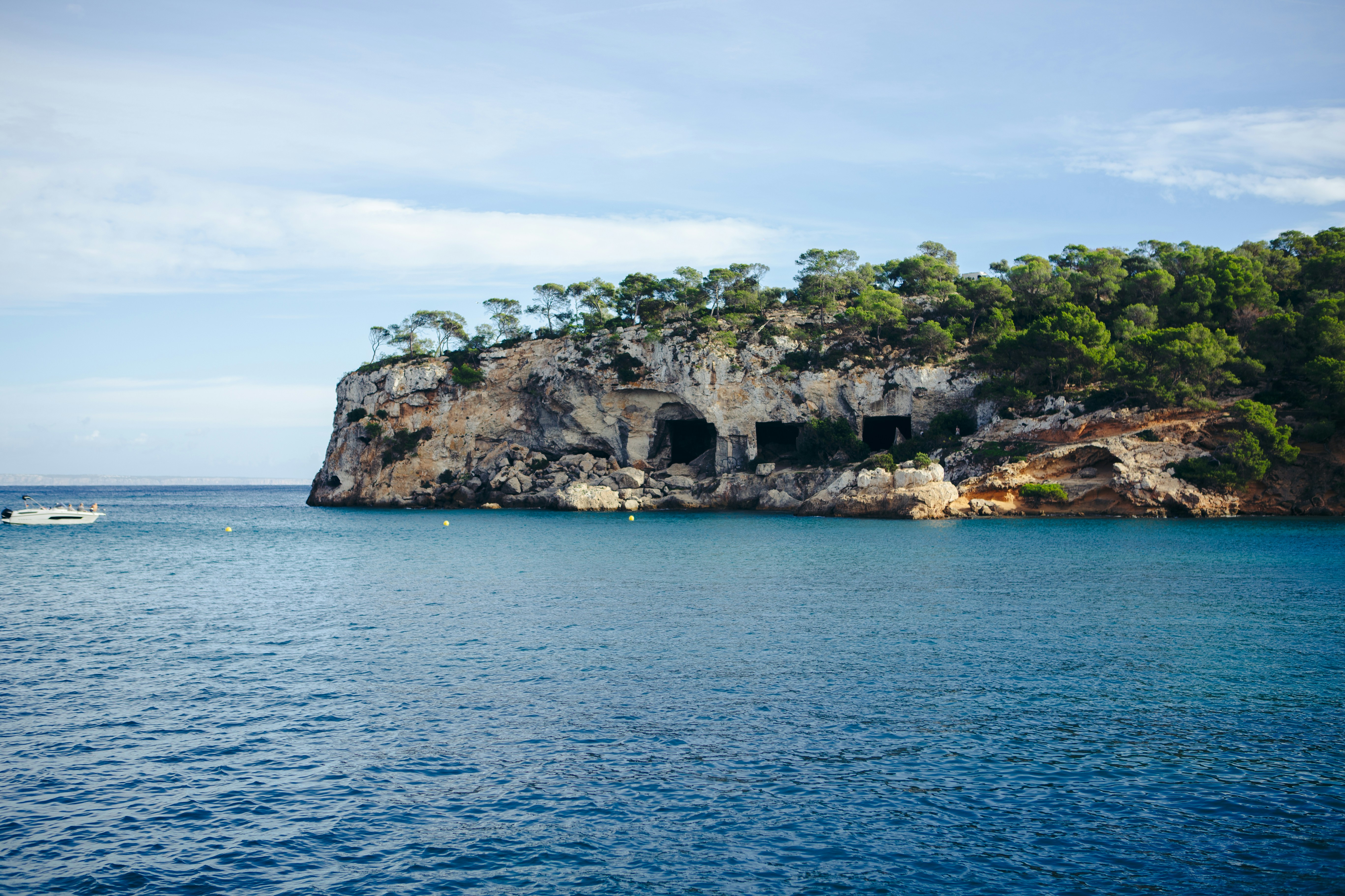 Photo by raymondpetrik