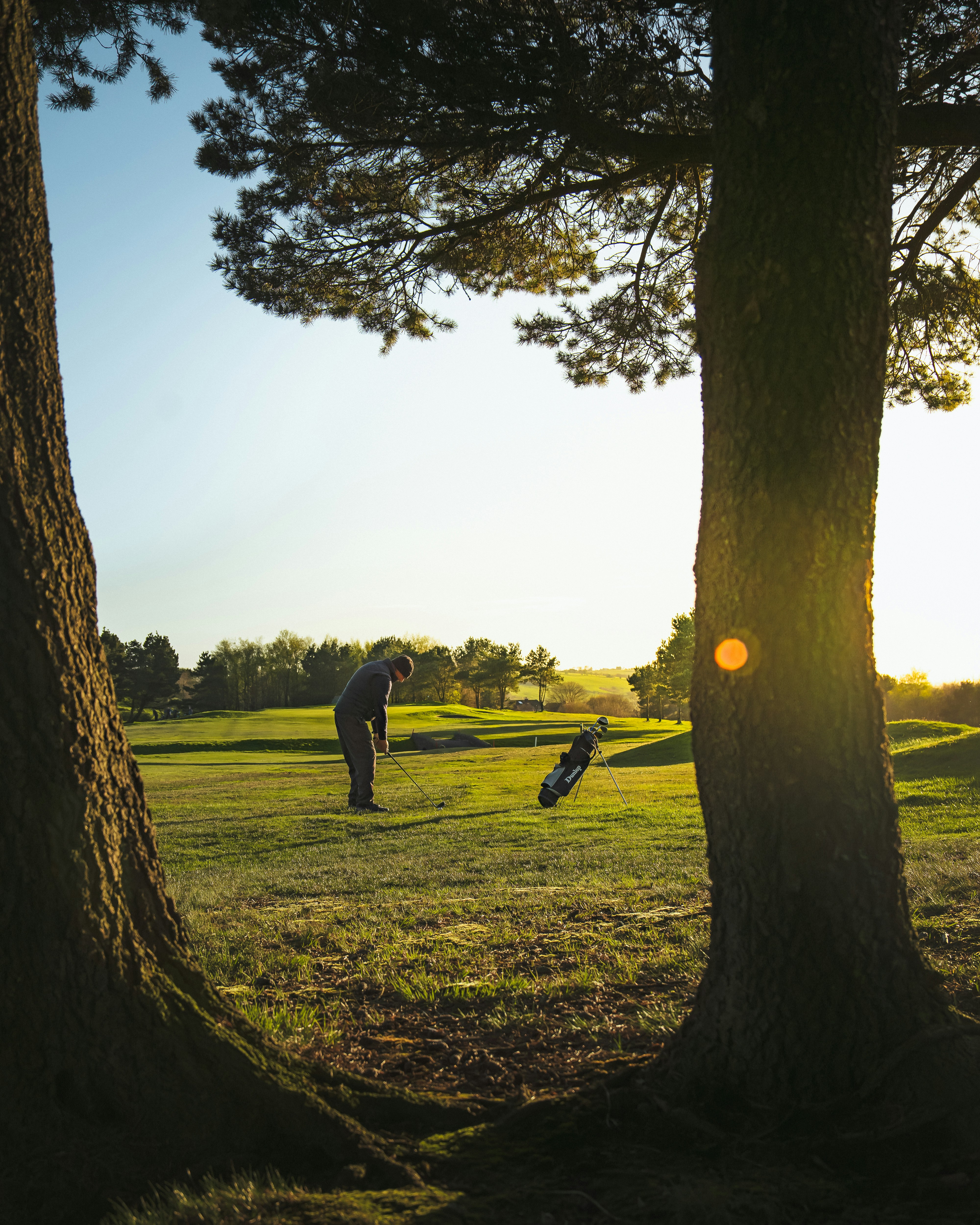 A man standing in a field next to two trees