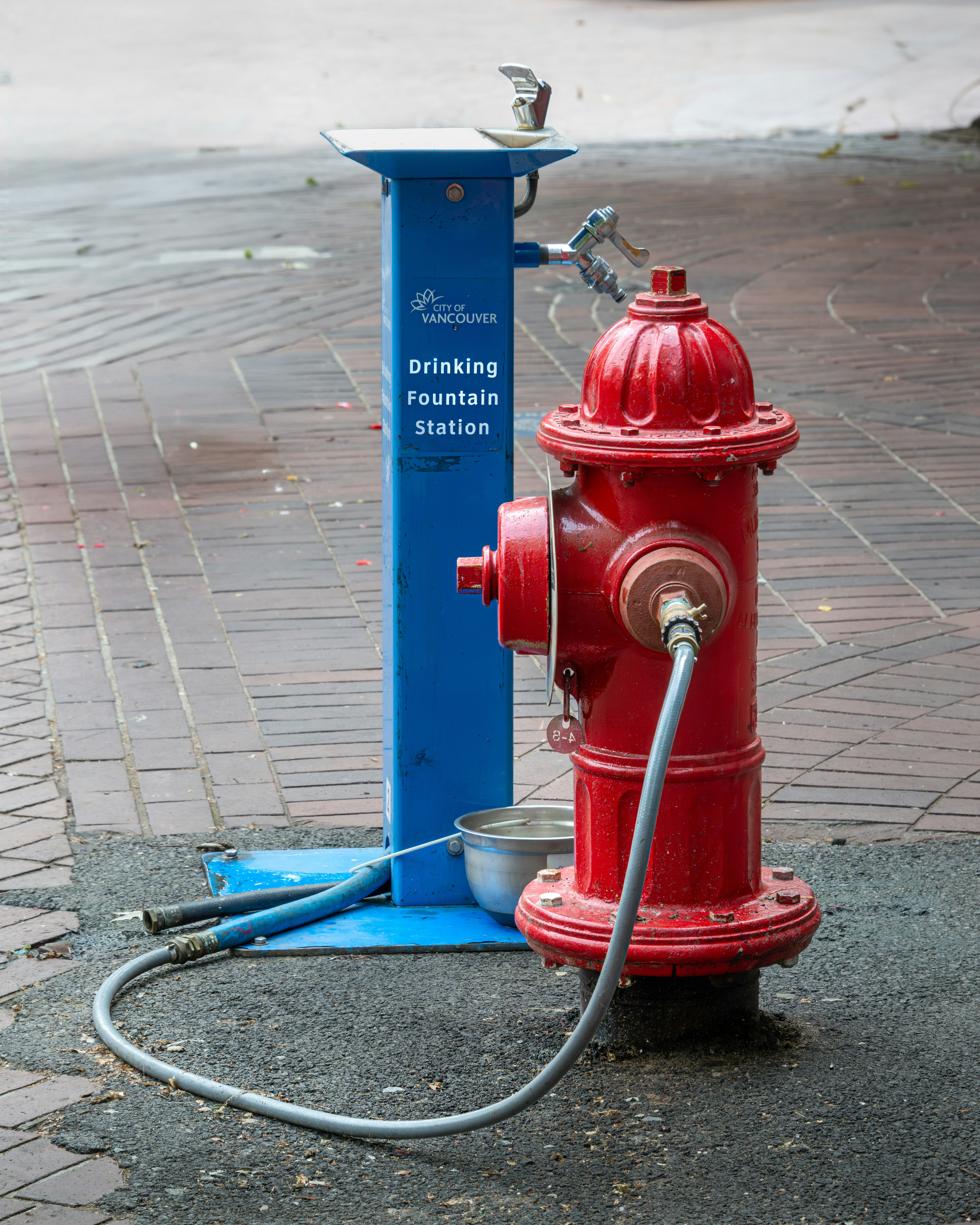 A red and blue fire hydrant on a sidewalk