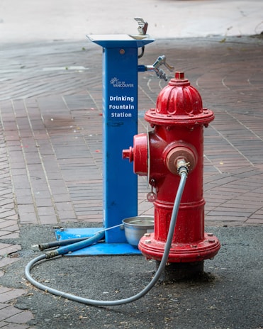 A red and blue fire hydrant on a sidewalk