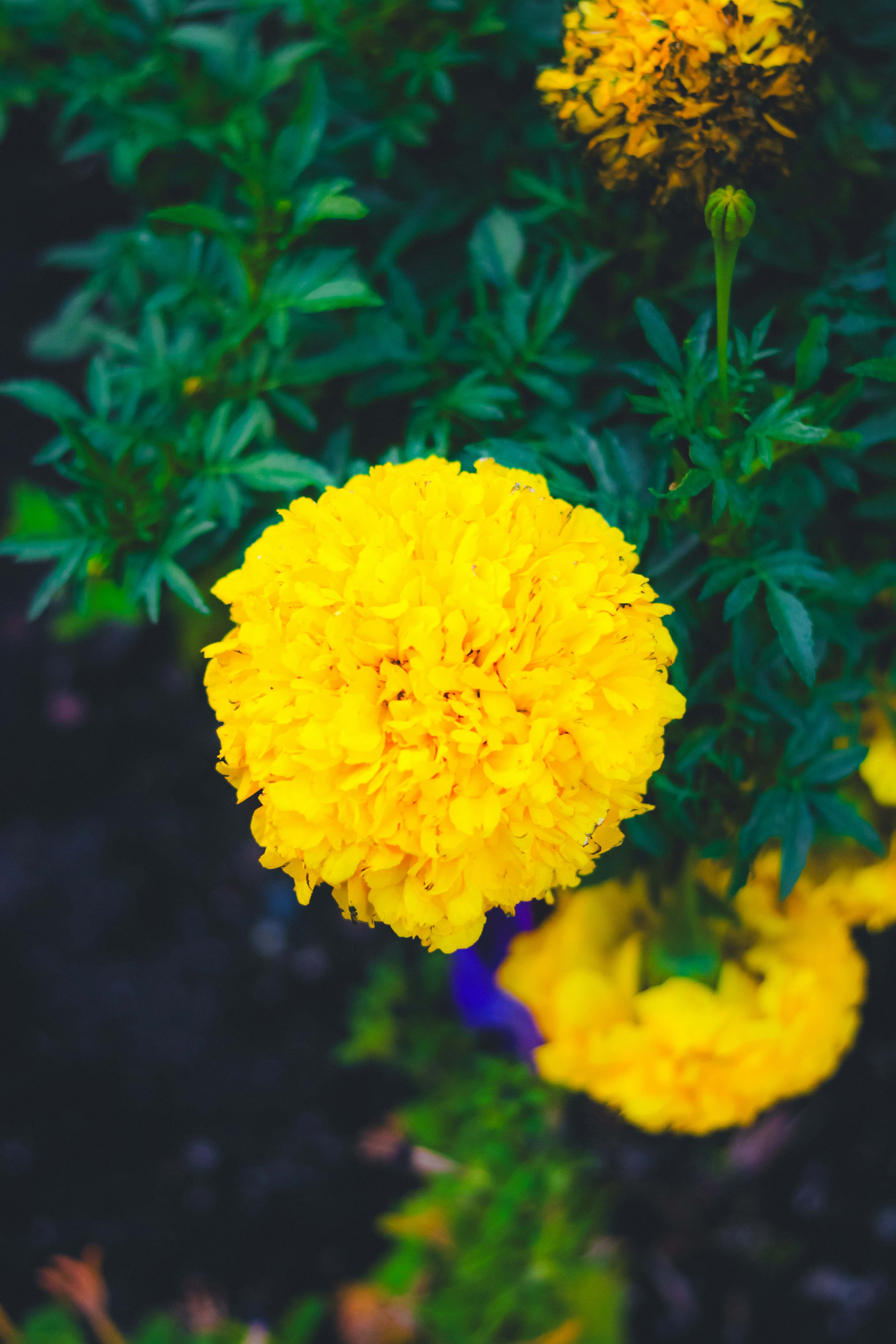 Photo by heberdavisphotography