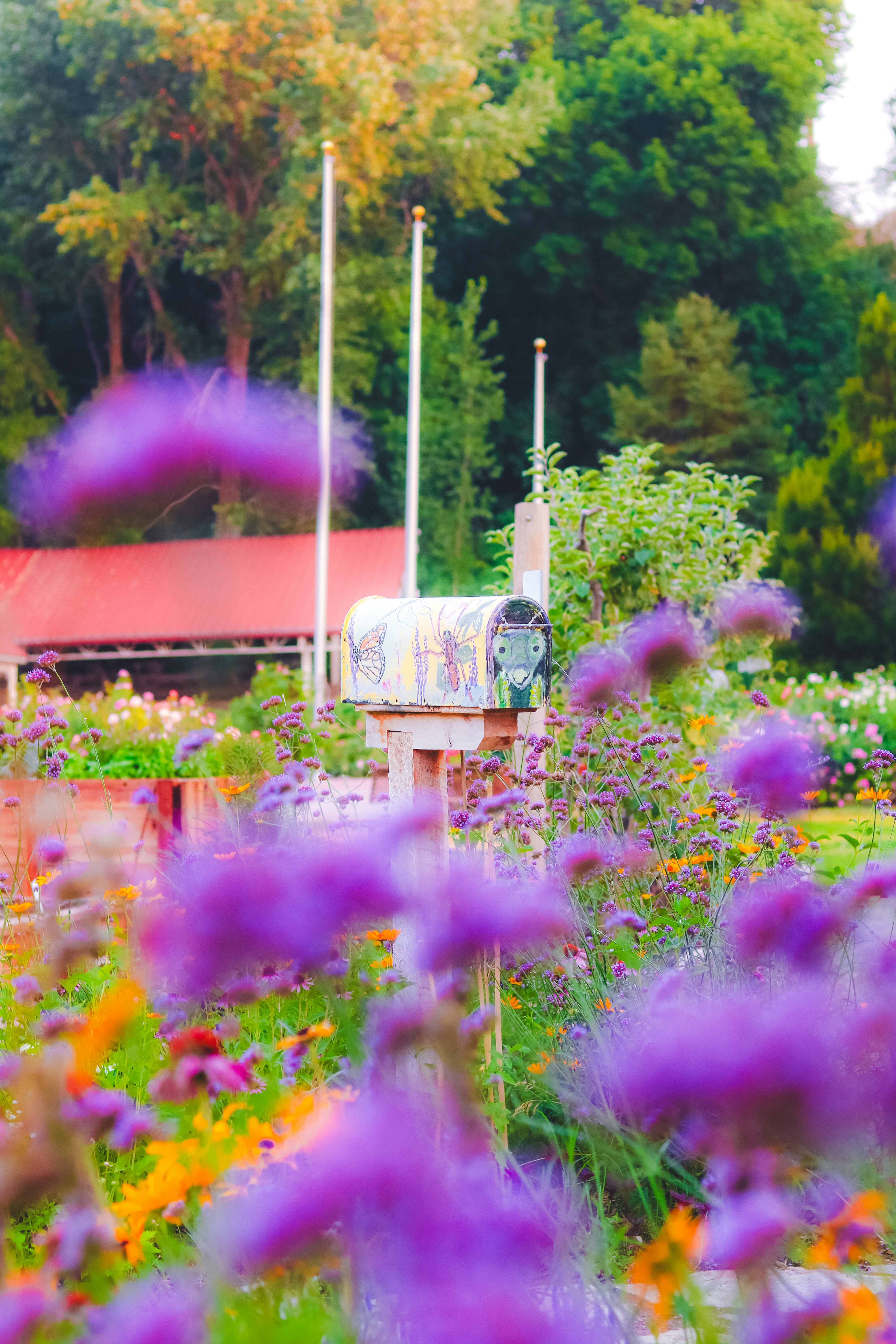 A bunch of flowers that are in a field