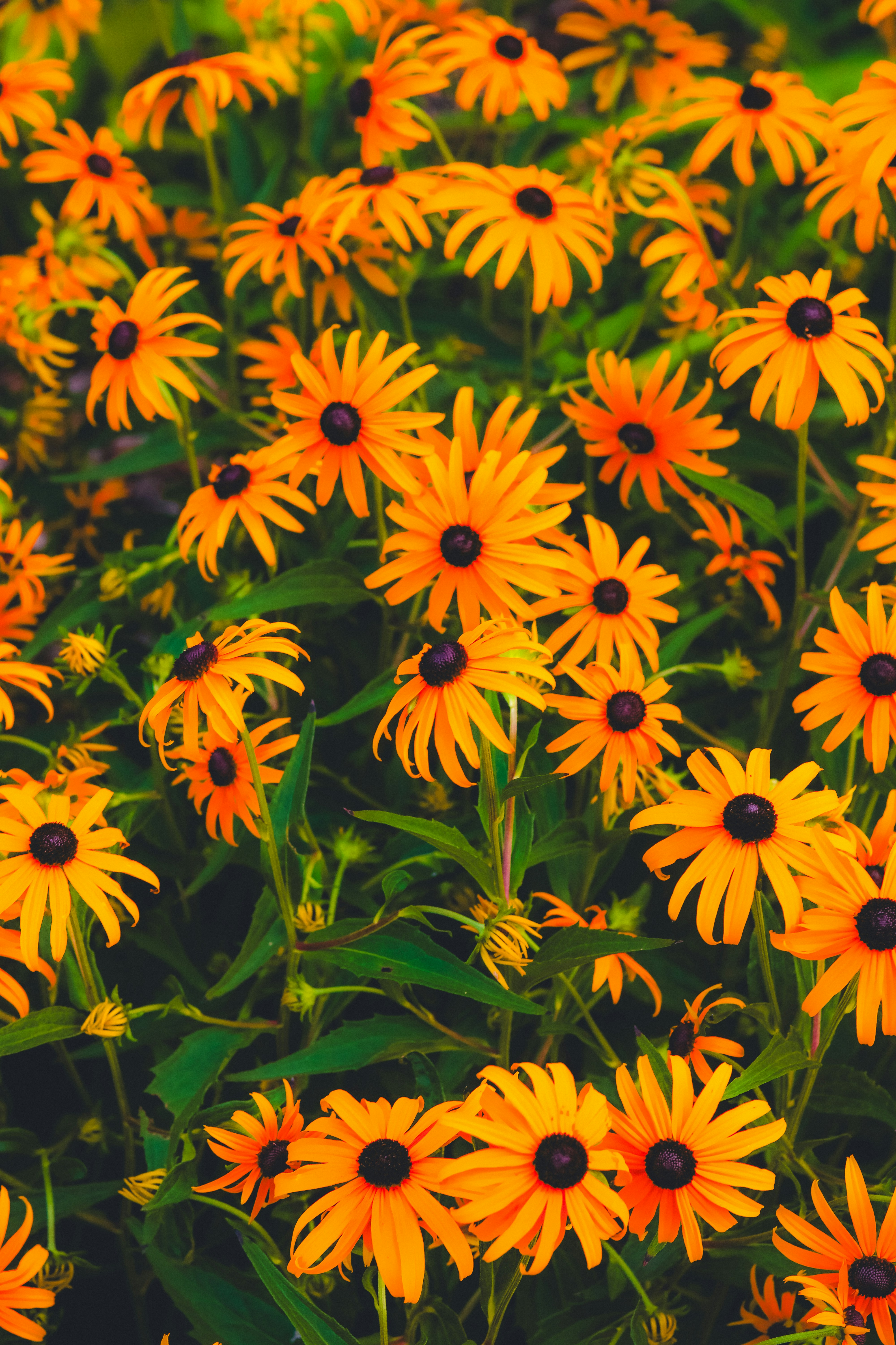 Photo by heberdavisphotography