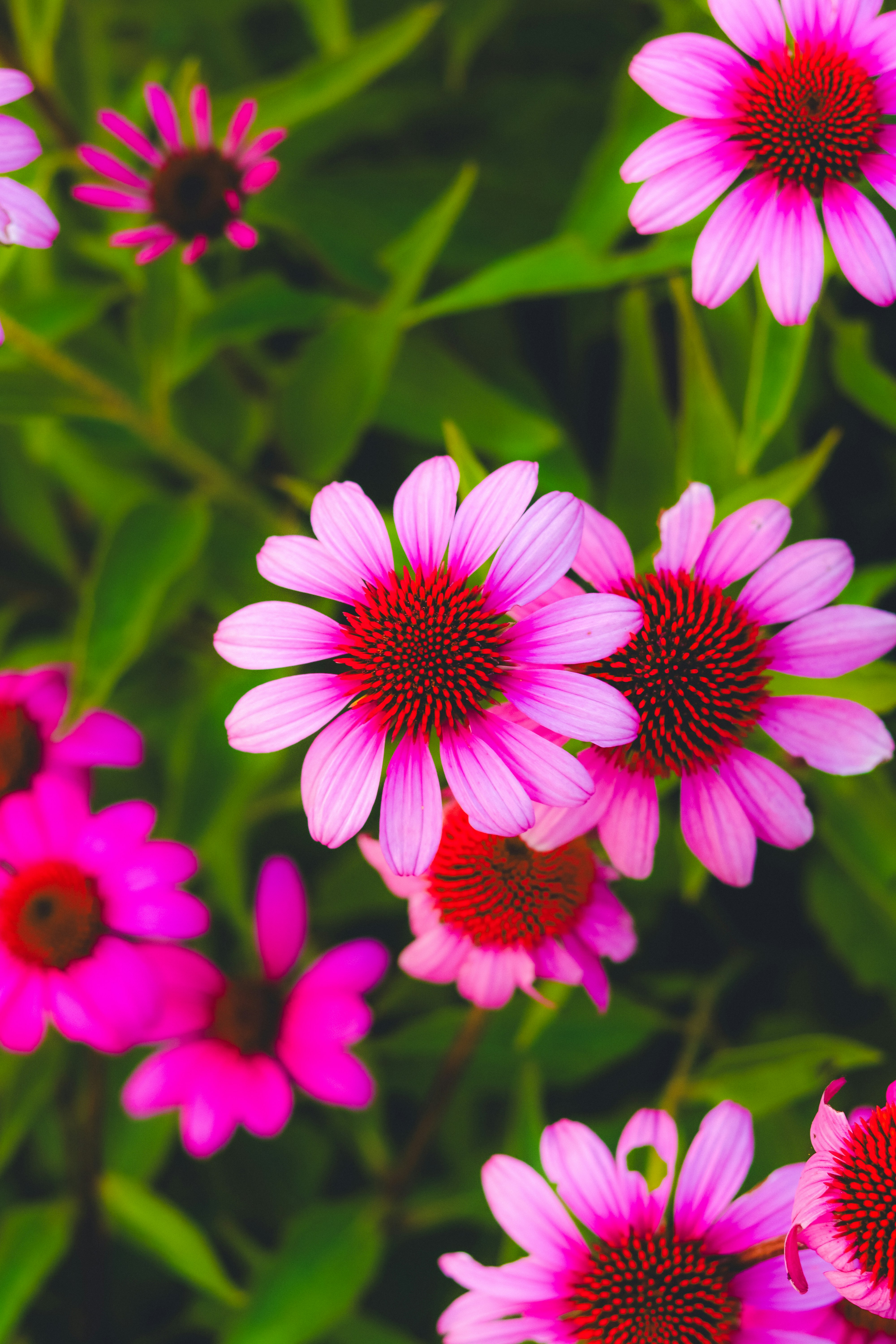 Photo by heberdavisphotography