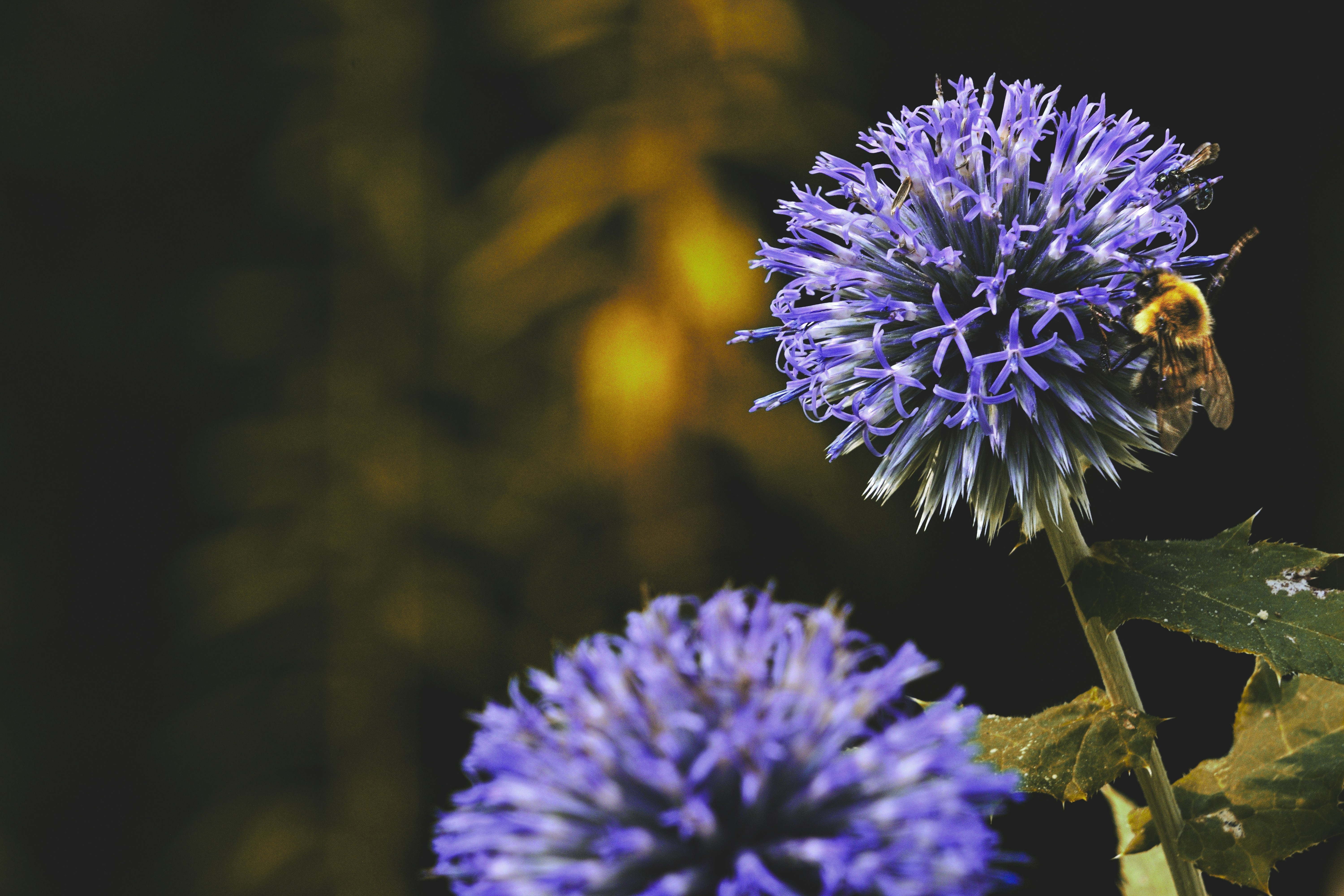 Photo by nh_landscapes