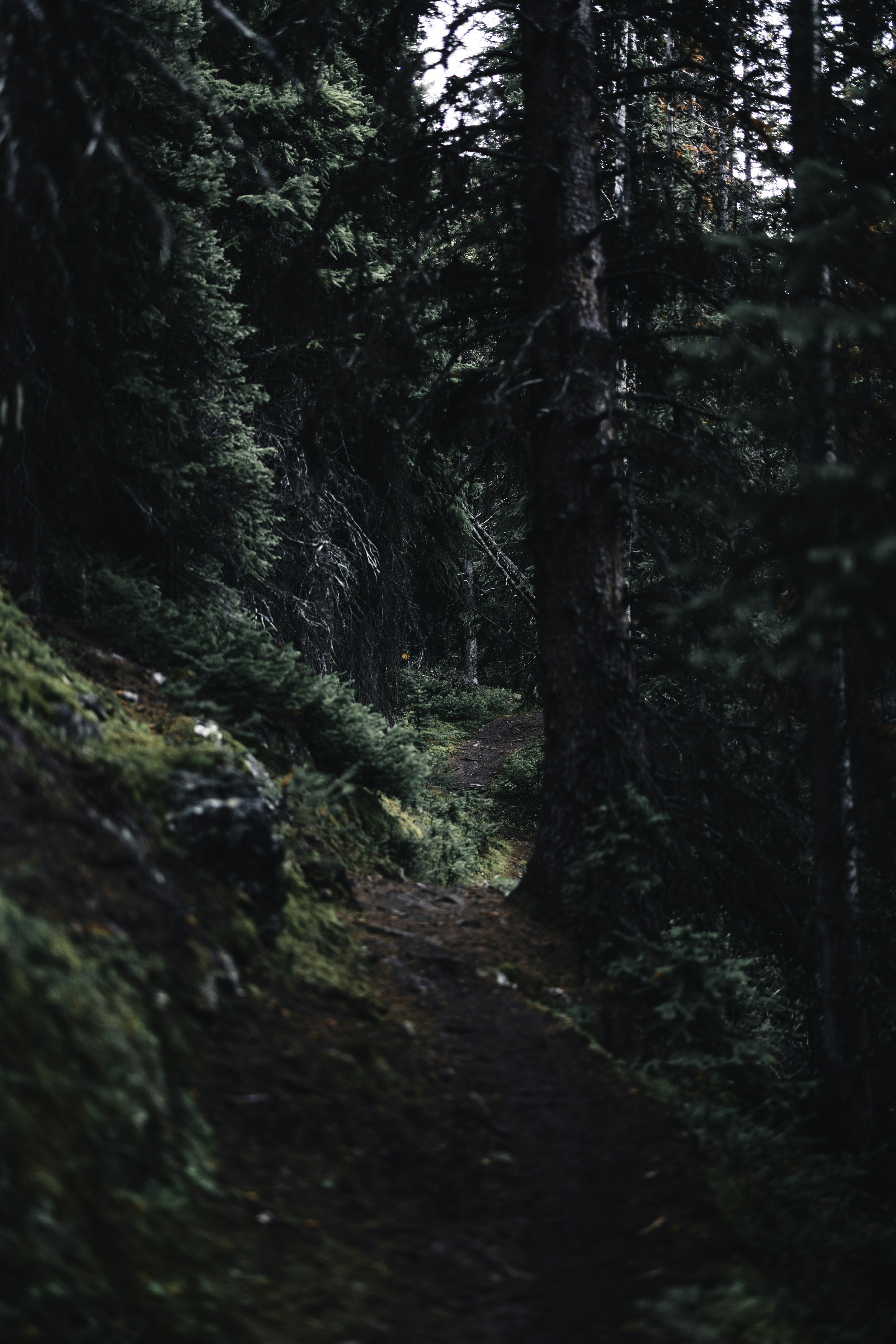 Photo by lureofadventure