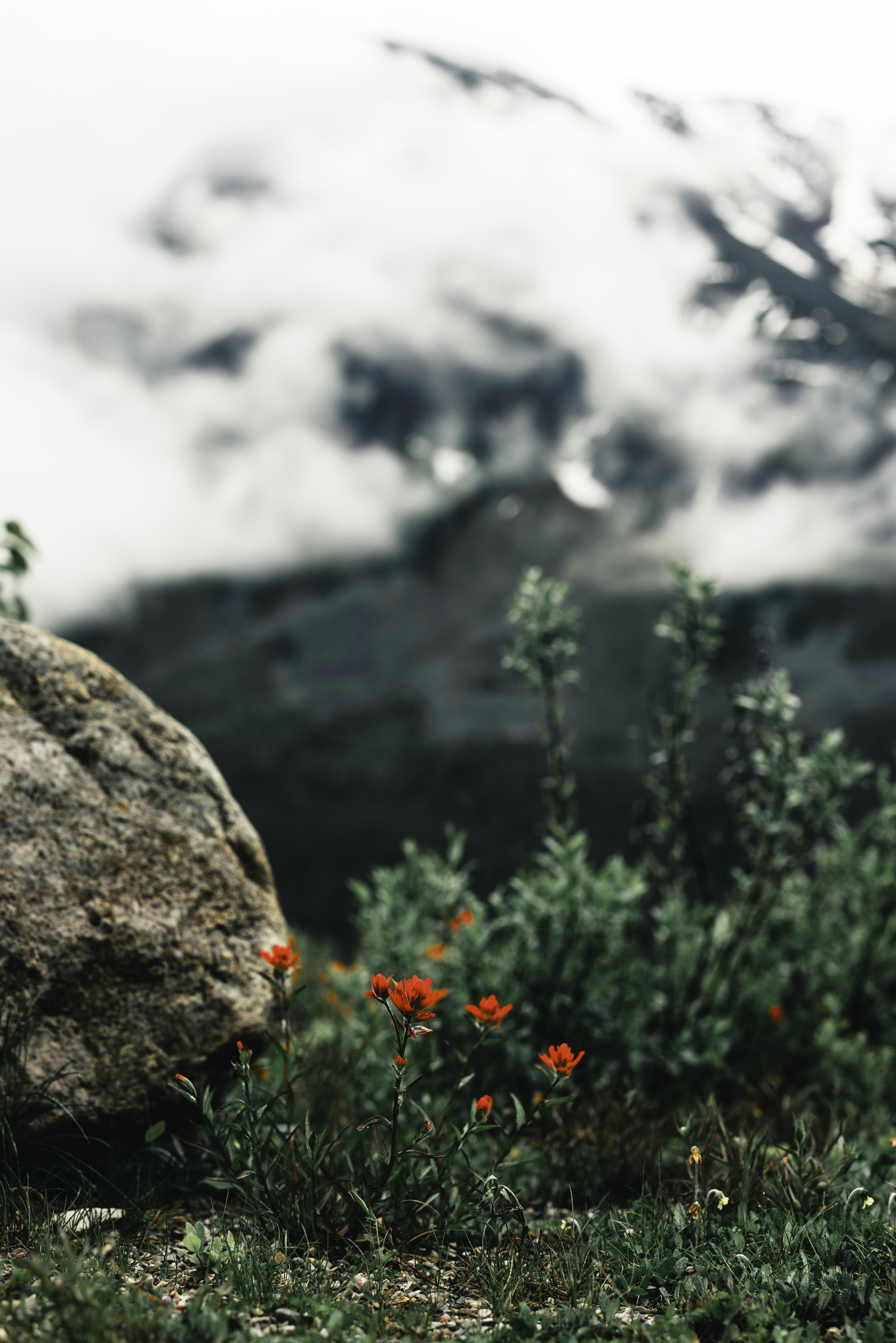 Photo by lureofadventure