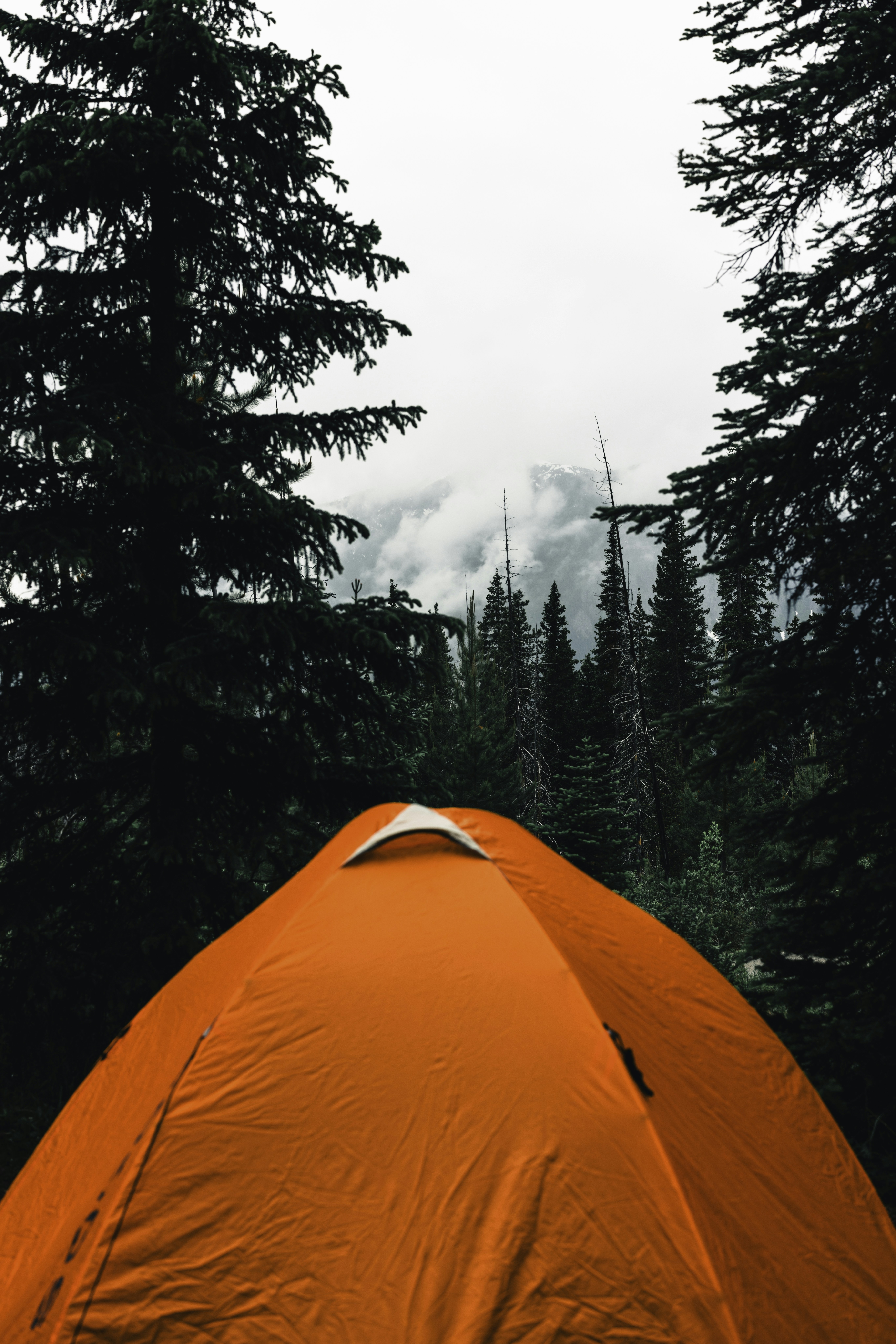 Photo by lureofadventure